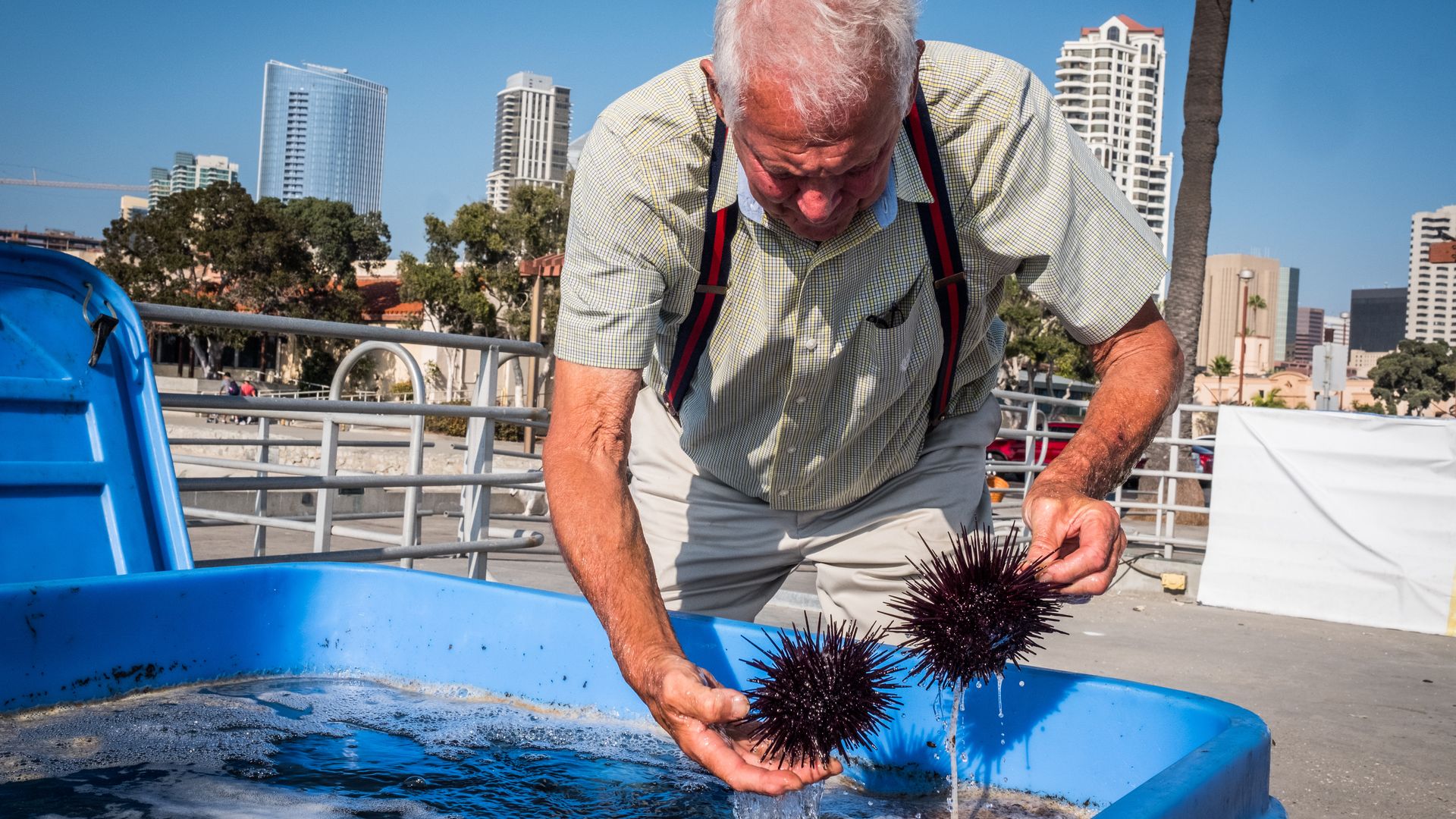 Pete Halmay with sea urchin