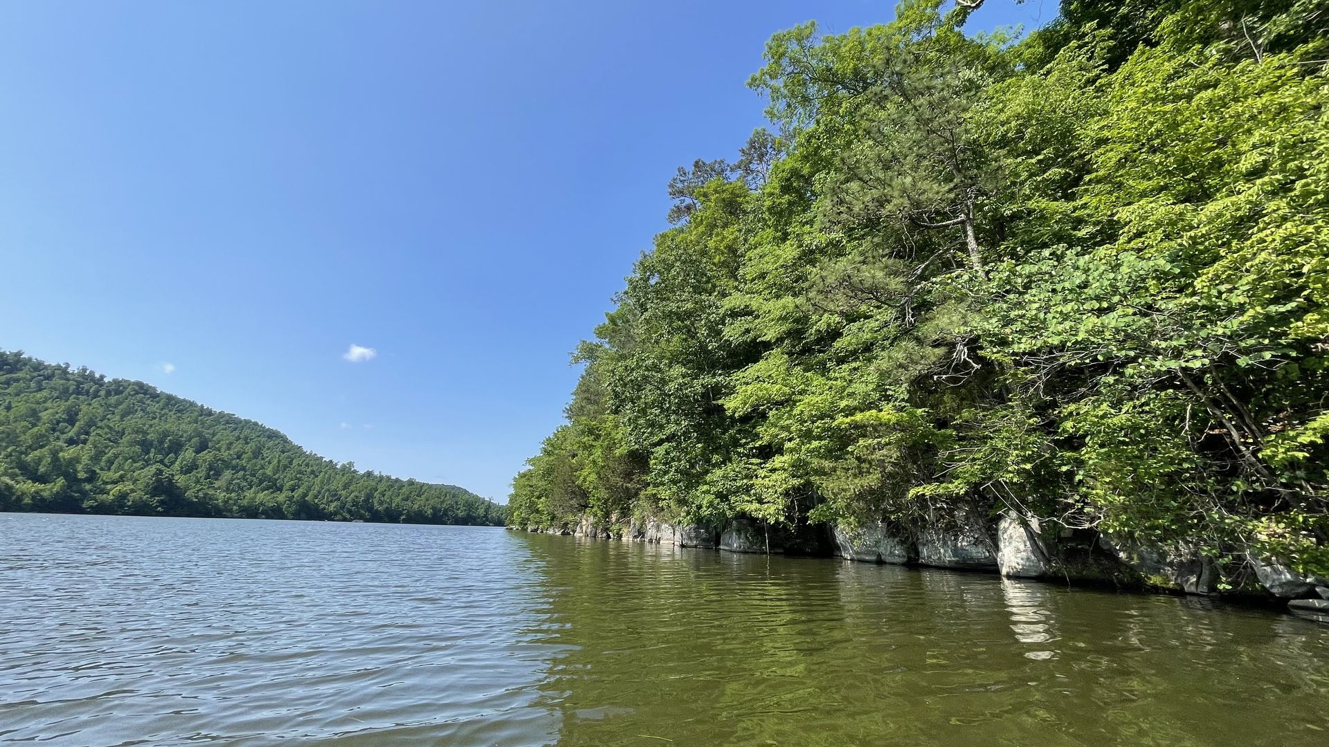 Clear blue sky over a calm lake, with dense green forest along the right shore and distant tree-covered hills on the left; gentle ripples on the water.