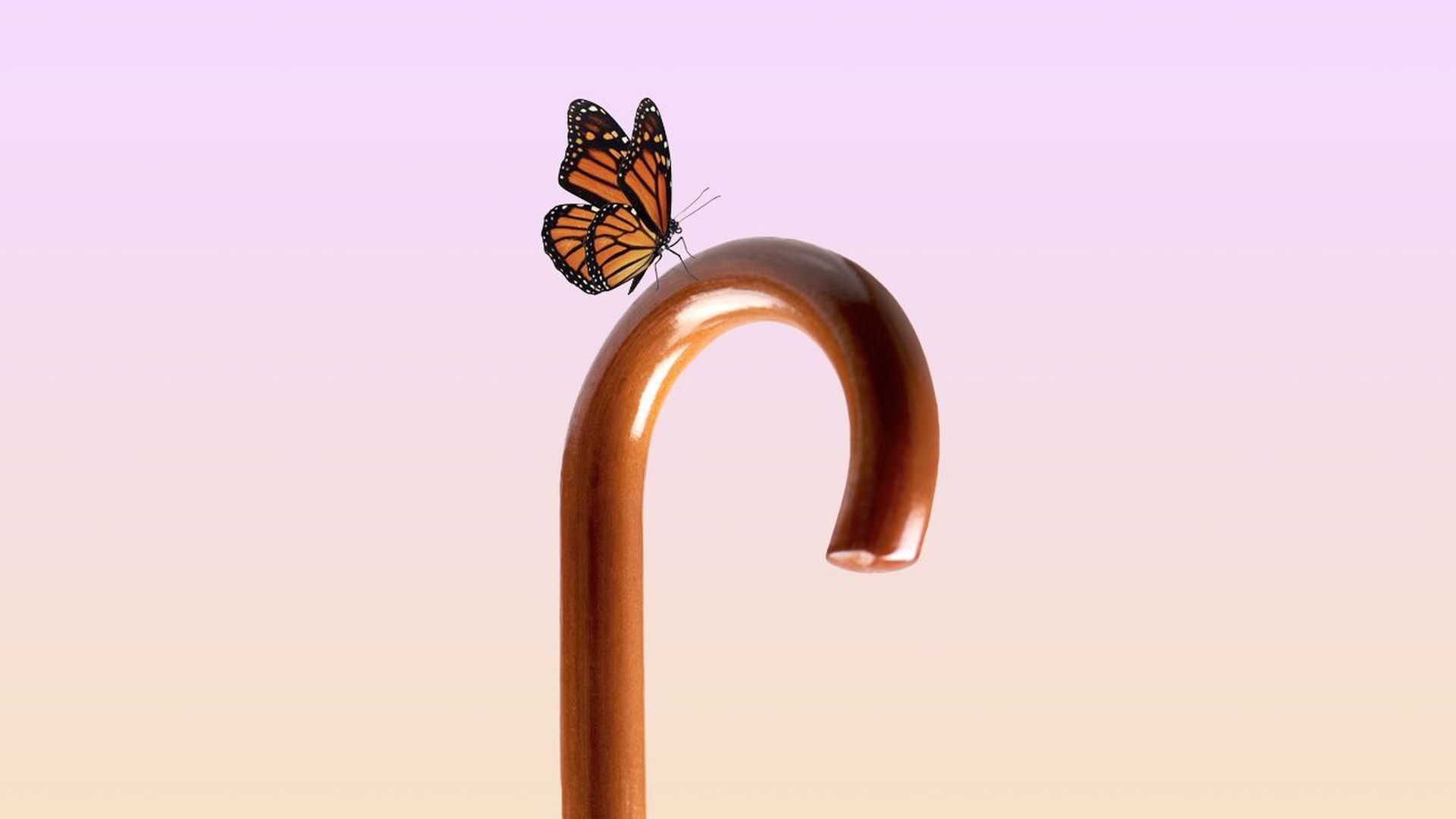 Illustration of a butterfly resting on a cane