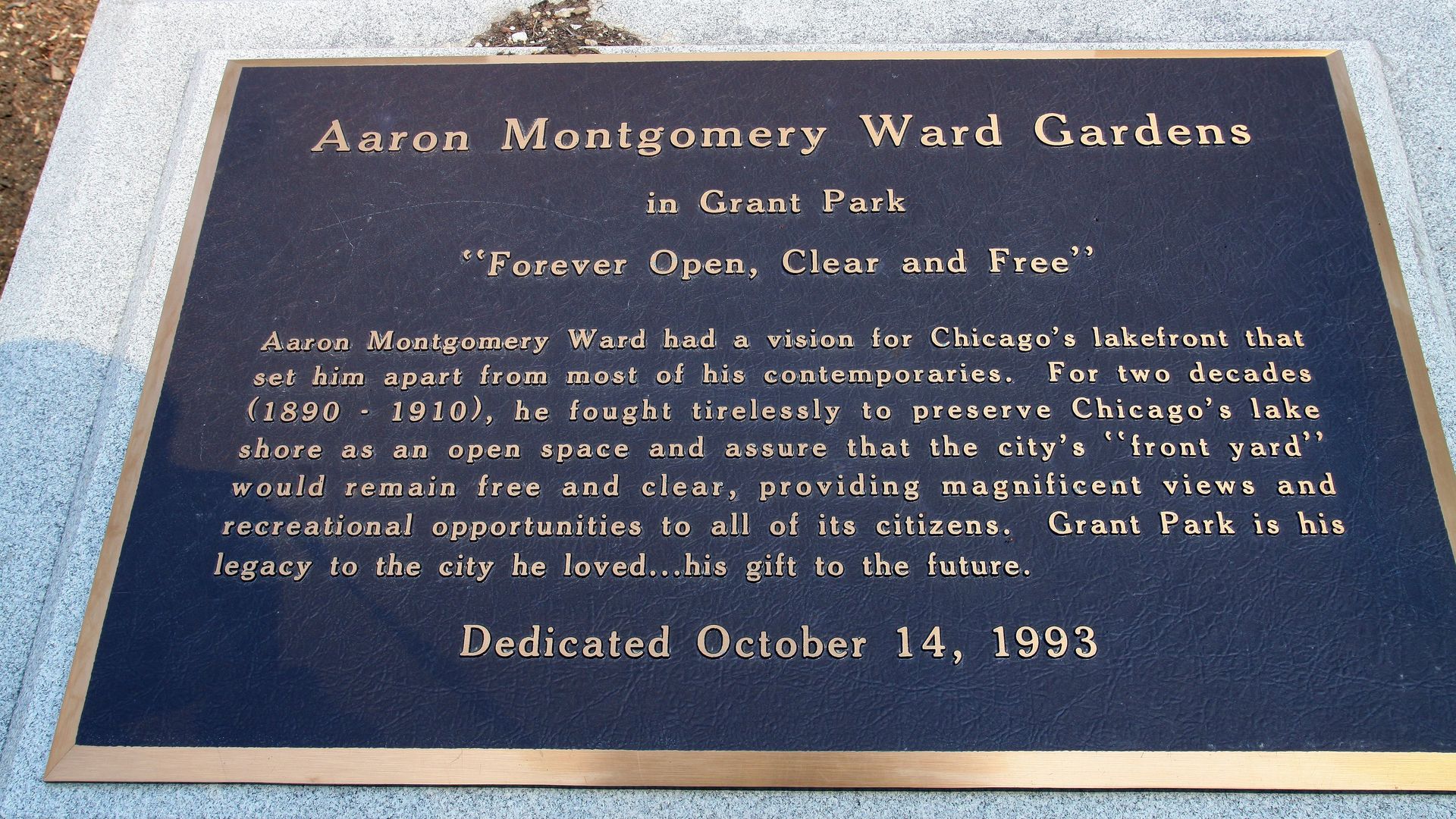 plaque