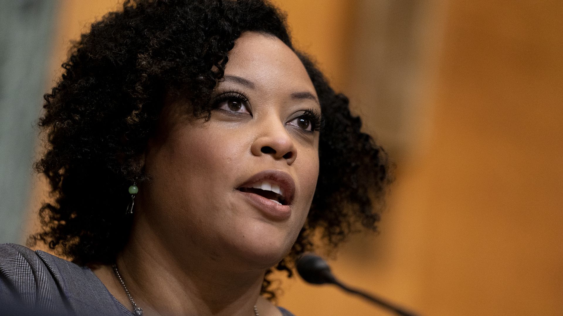 Picture of Shalanda Young