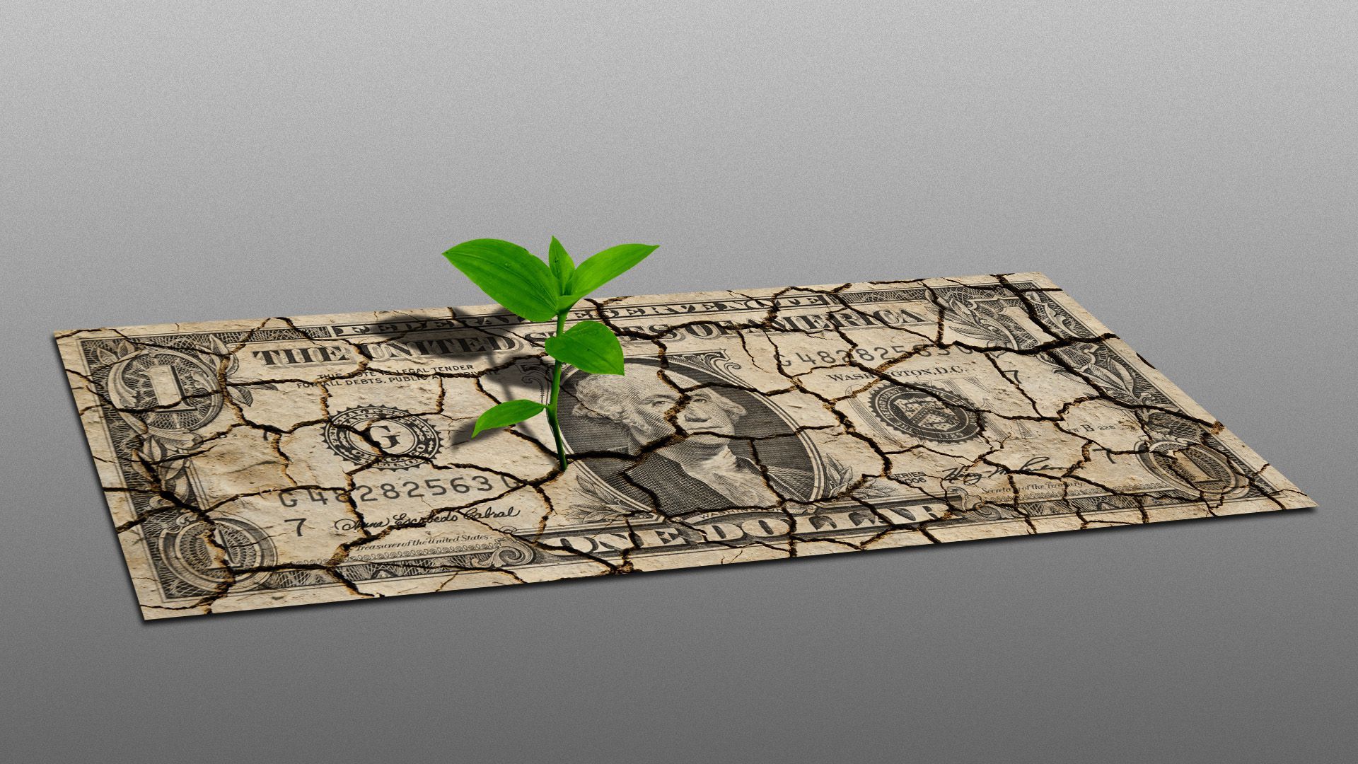 Illustration of a dollar that looks like cracked earth with a tiny plant growing out of it