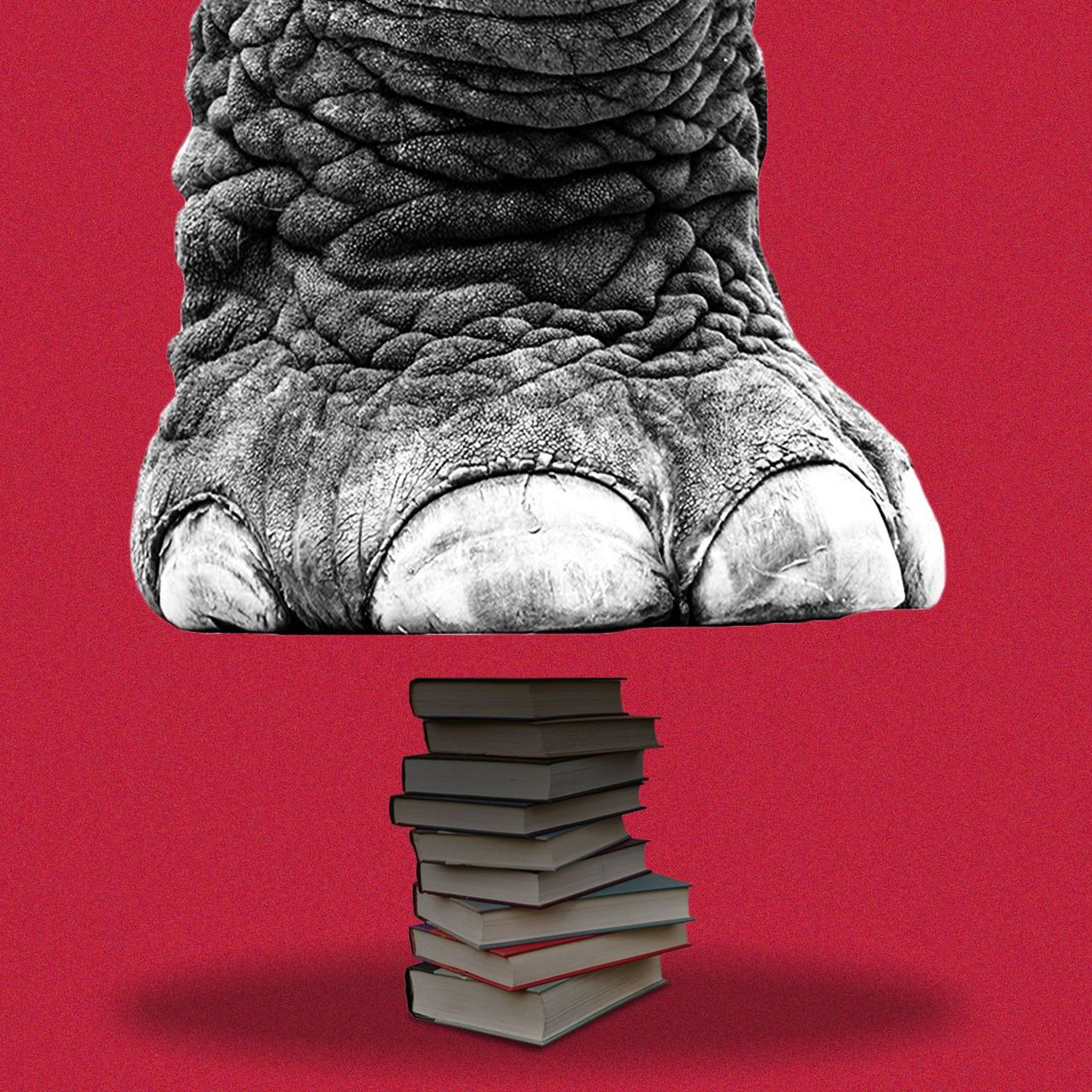 An elephant foot appears to be stepping on a stack of textbooks.
