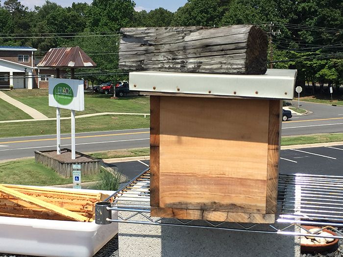bee-hives-at-hierloom-charlotte