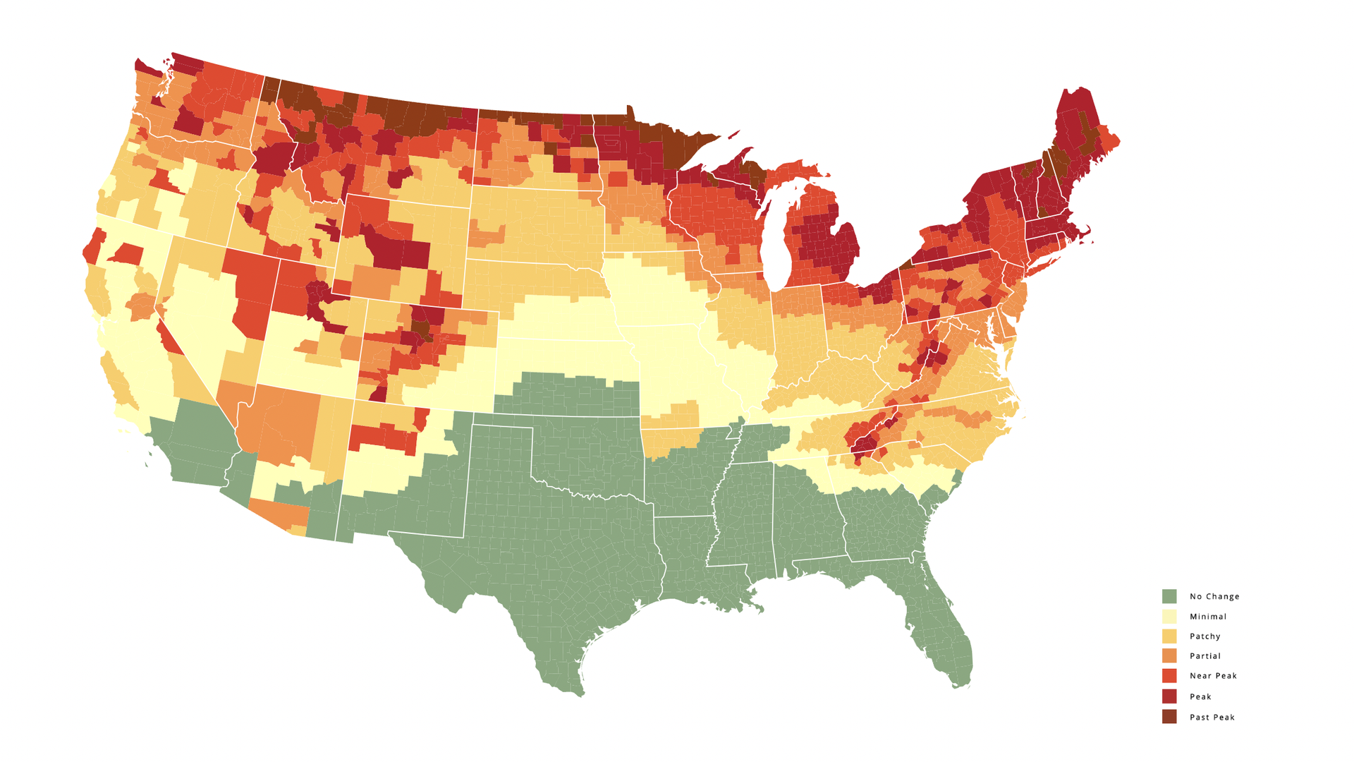 A map of the United States with colors showing the stage of changing leaf colors at a given date. Most of the northern border of the USA and high elevations are forecast to peak around Oct. 7.  