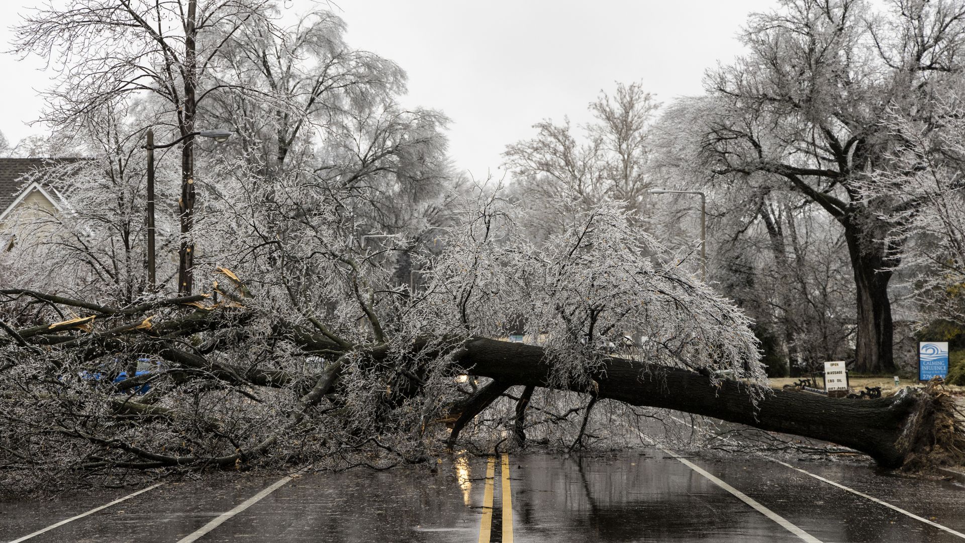 A fallen tree over a road in Memphis, Tennessee, on Feb. 3.