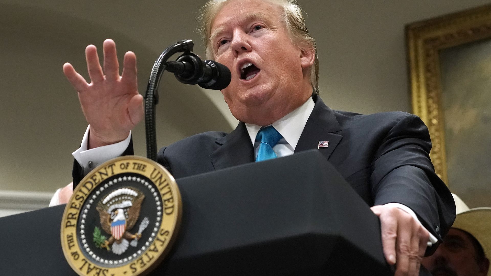President Donald Trump