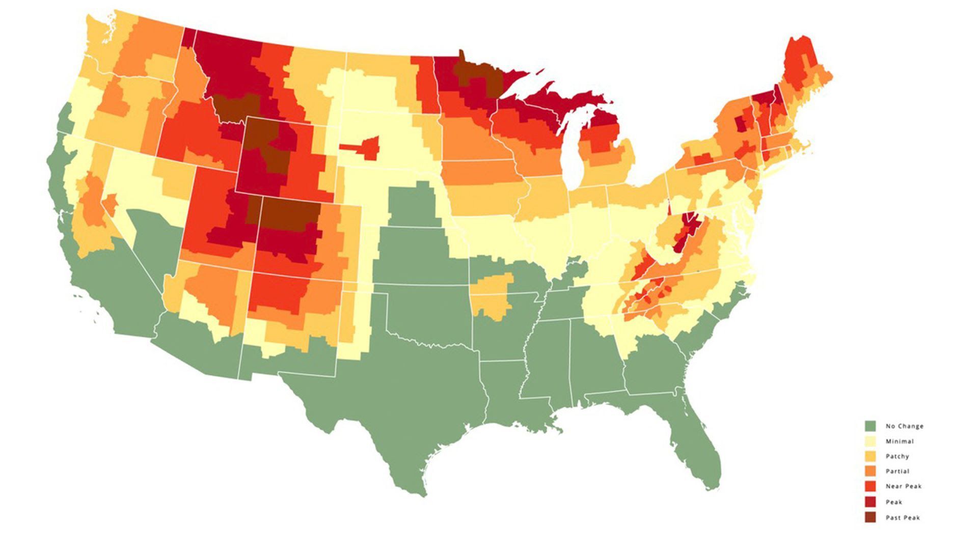 A map showing the fall color forecast across the U.S.