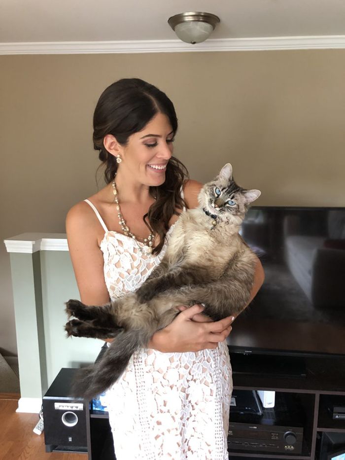 cat person in charlotte