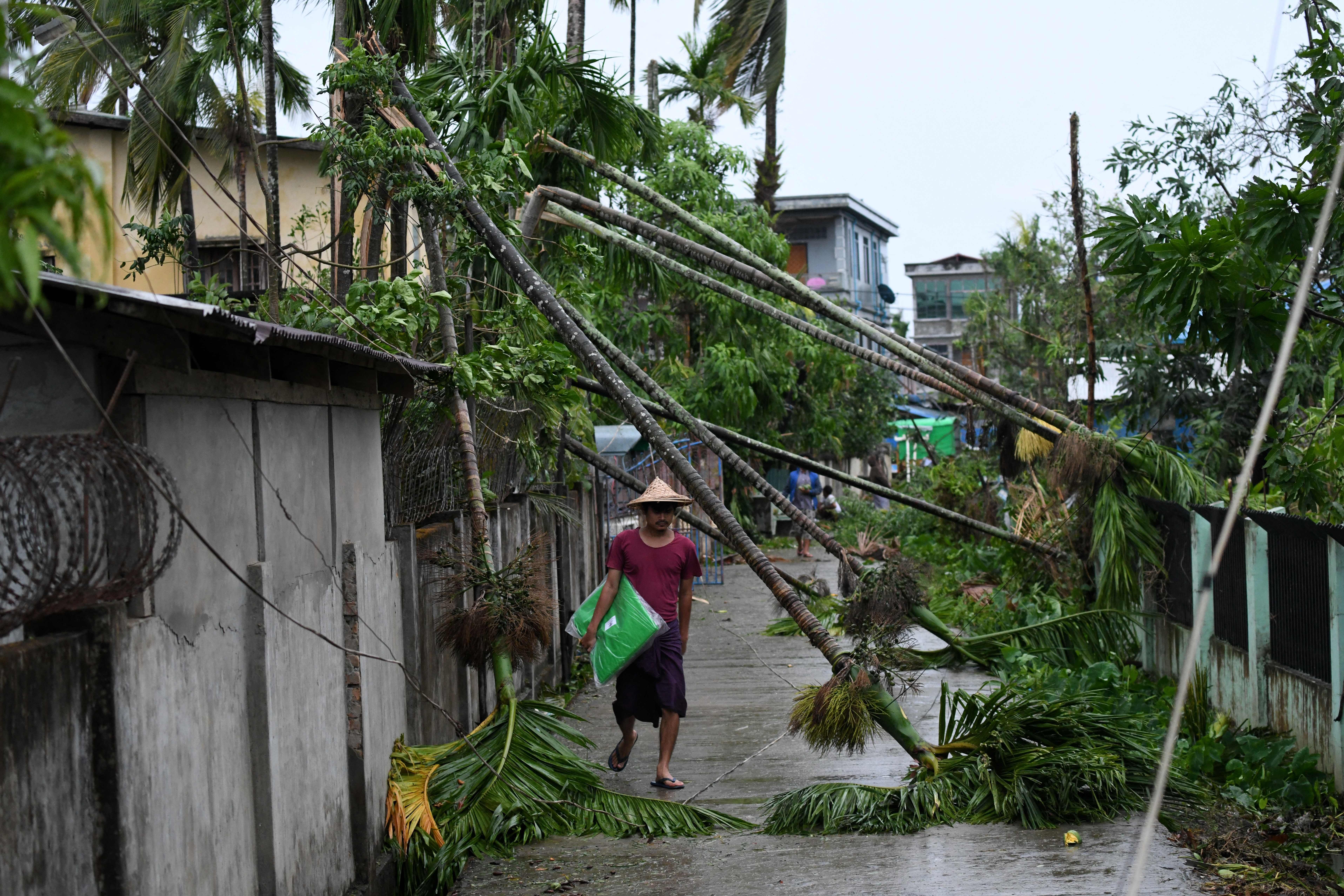 A local resident walks past the fallen trees after Cyclone Mocha crashed ashore, in Kyauktaw in Myanmar's Rakhine state on May 14