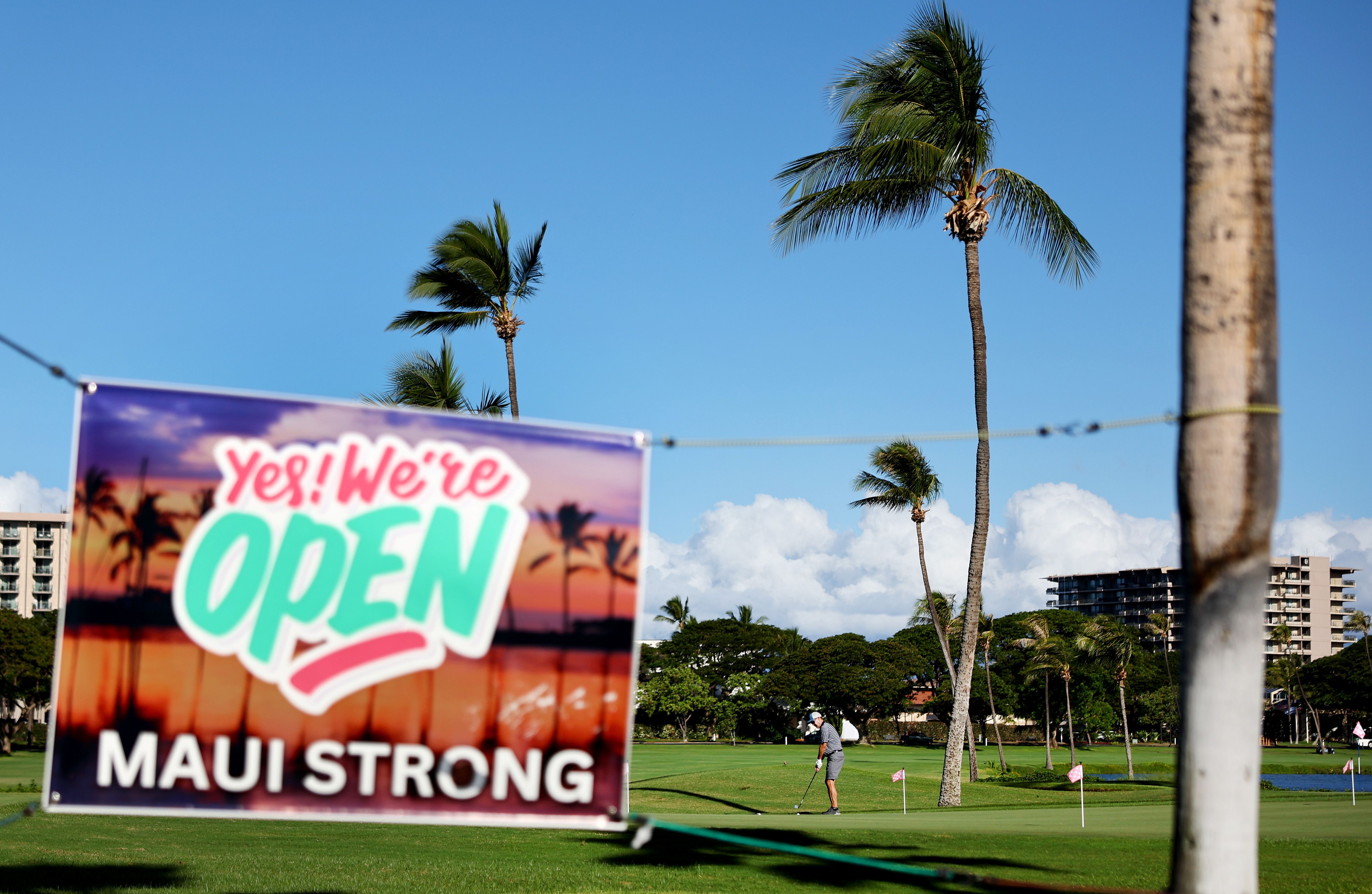 An image of a sign that reads "Yes! We're Open. Maui Strong" strung across two palm trees in Hawaii. 