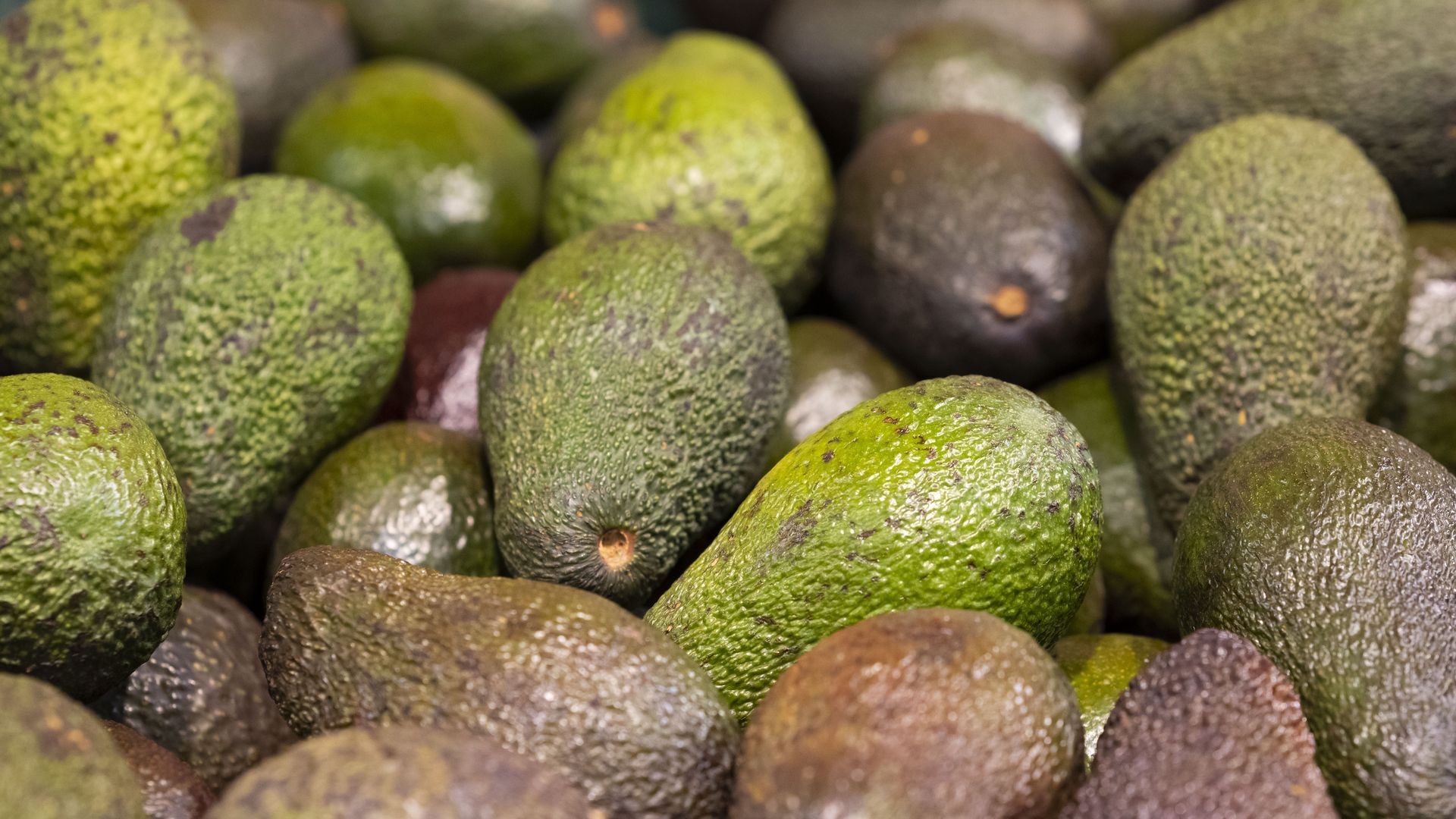 Avocados for sale.