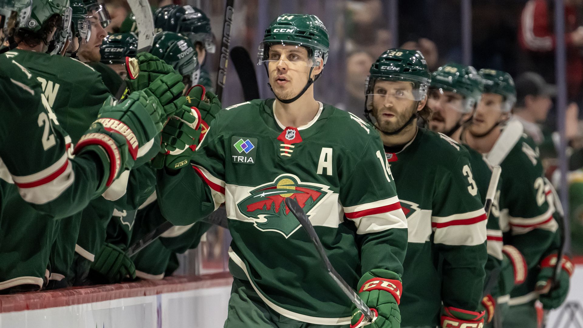 A hockey player in a forest green uniform holding a hockey stick fist-bumps his teammates lined up on the bench during a hockey game.