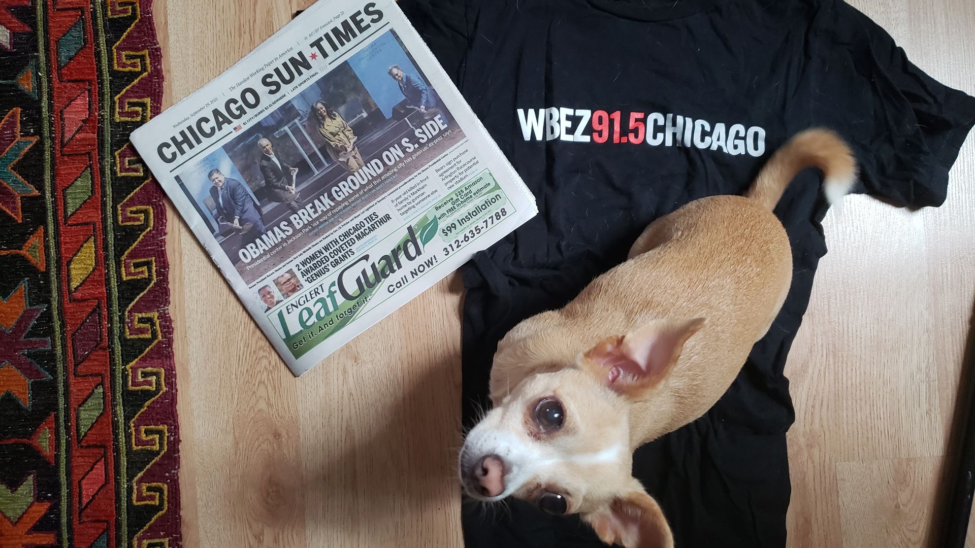 A photo of a dog sitting on a t-shirt next to a newspaper. 