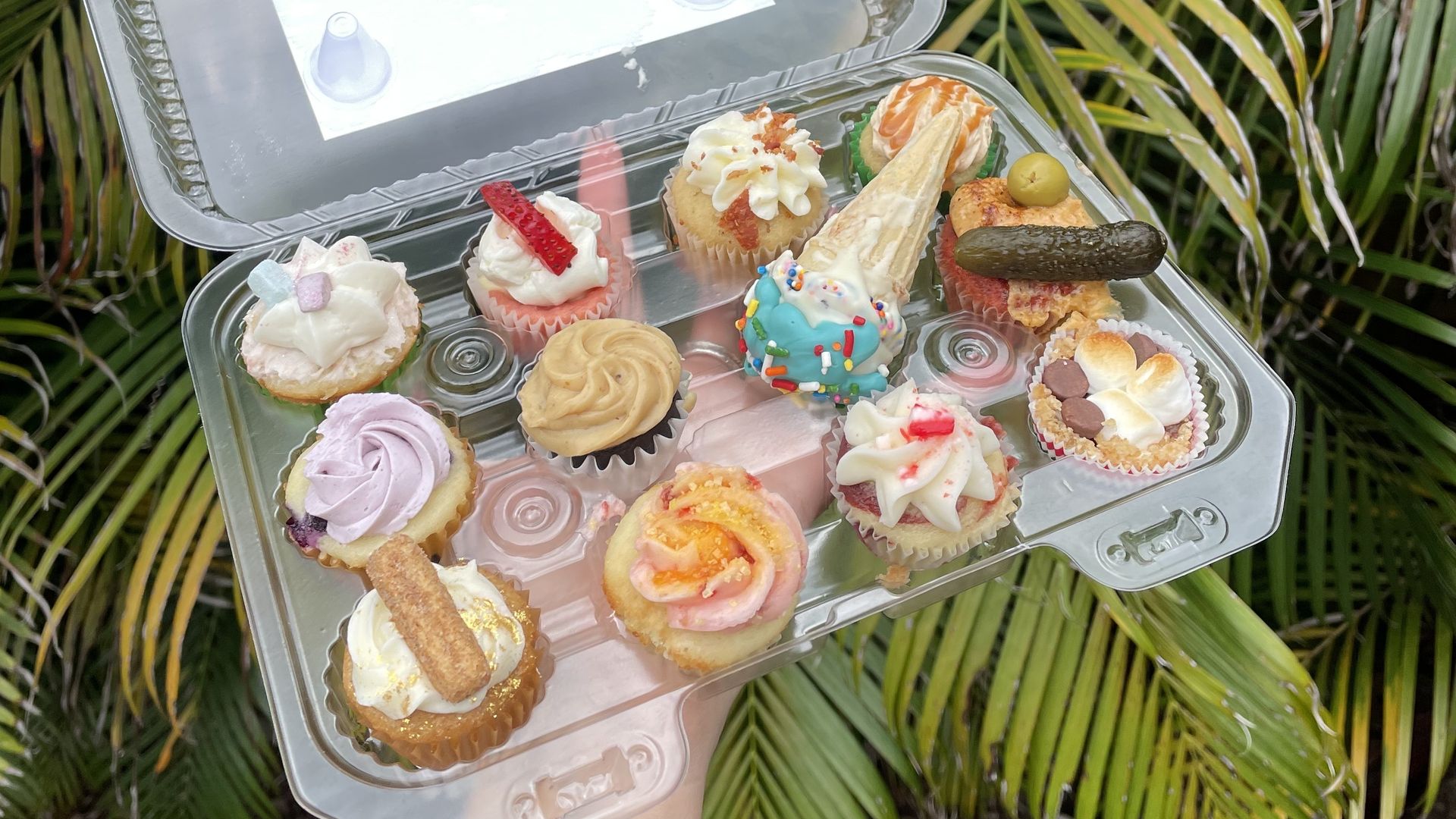 a dozen assorted mini cupcakes