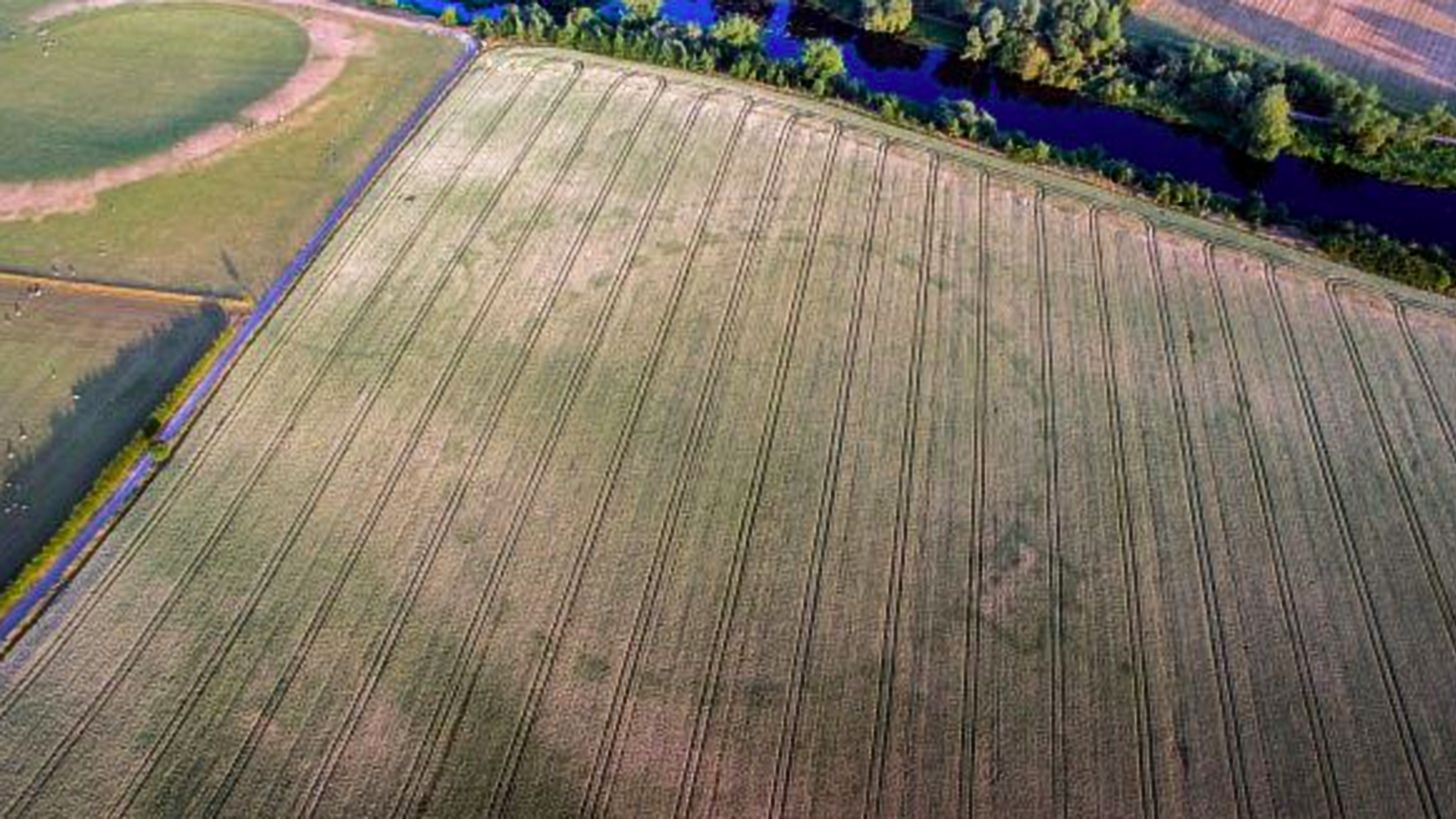The Hedge in Newgrange