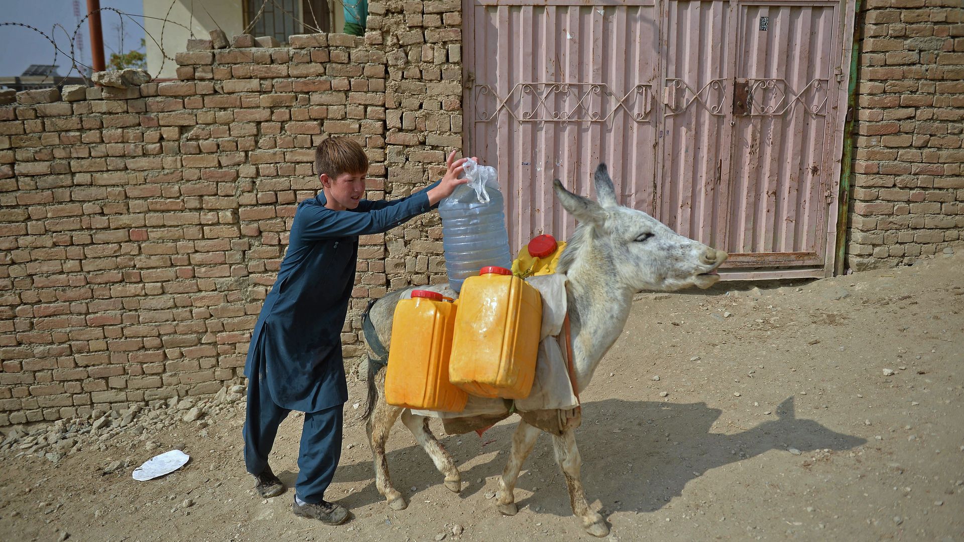 A boy loads water onto a donkey in Kabul.