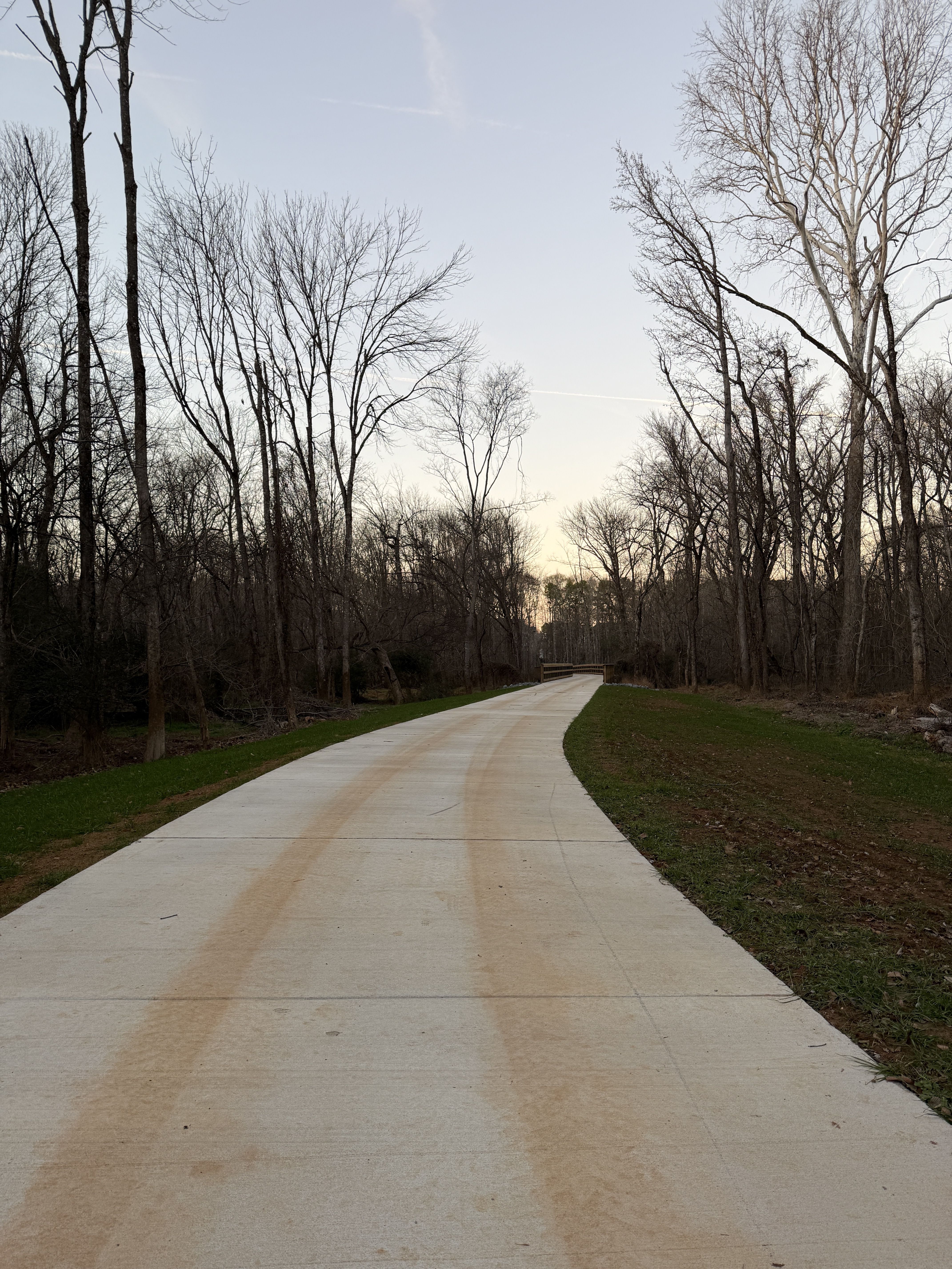 Concrete path curving through leafless trees in late afternoon with faint tire marks and some green grass on the sides under a clear sky.