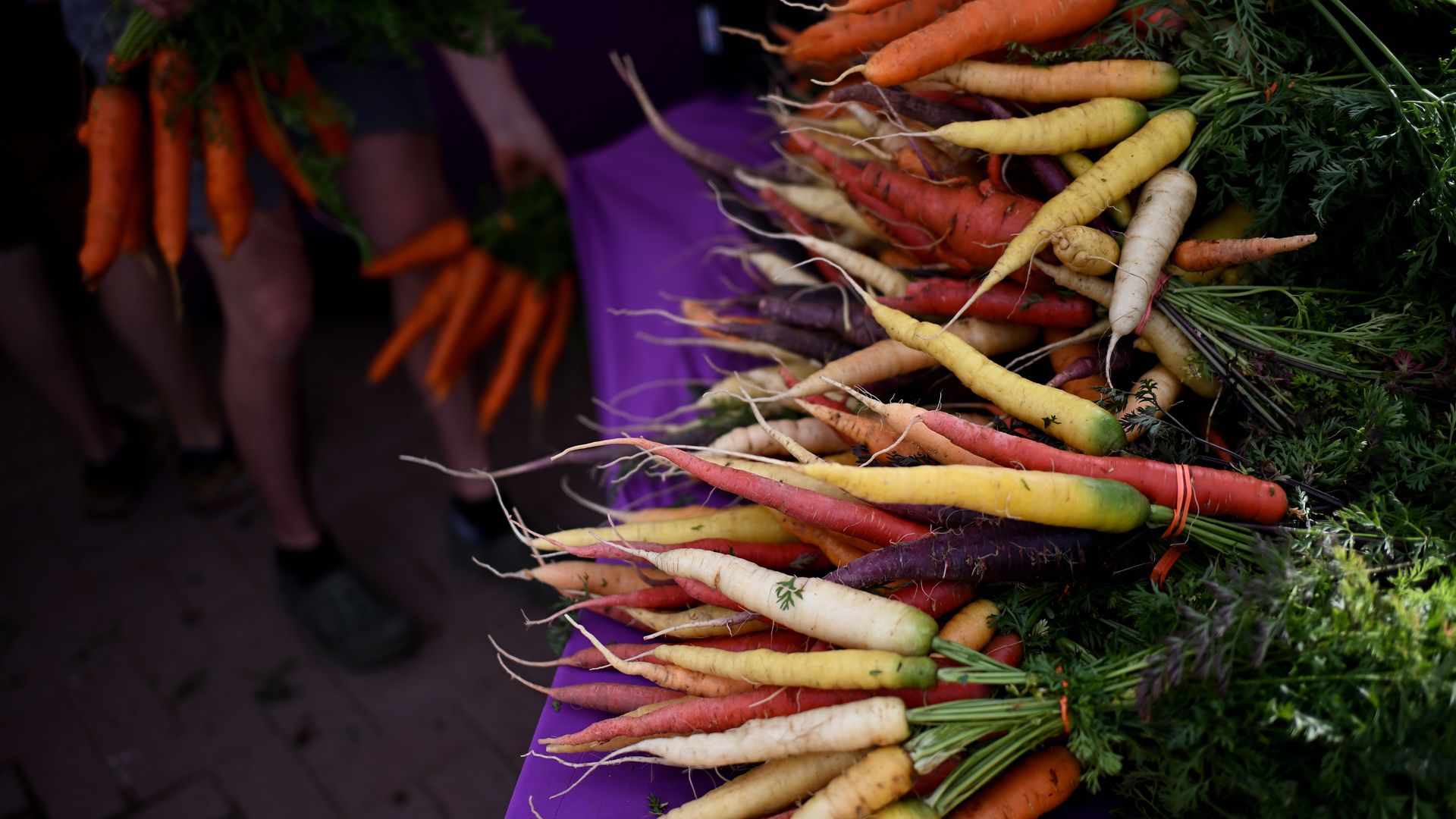 Organic multicolored carrots at Colorado farmers market. 