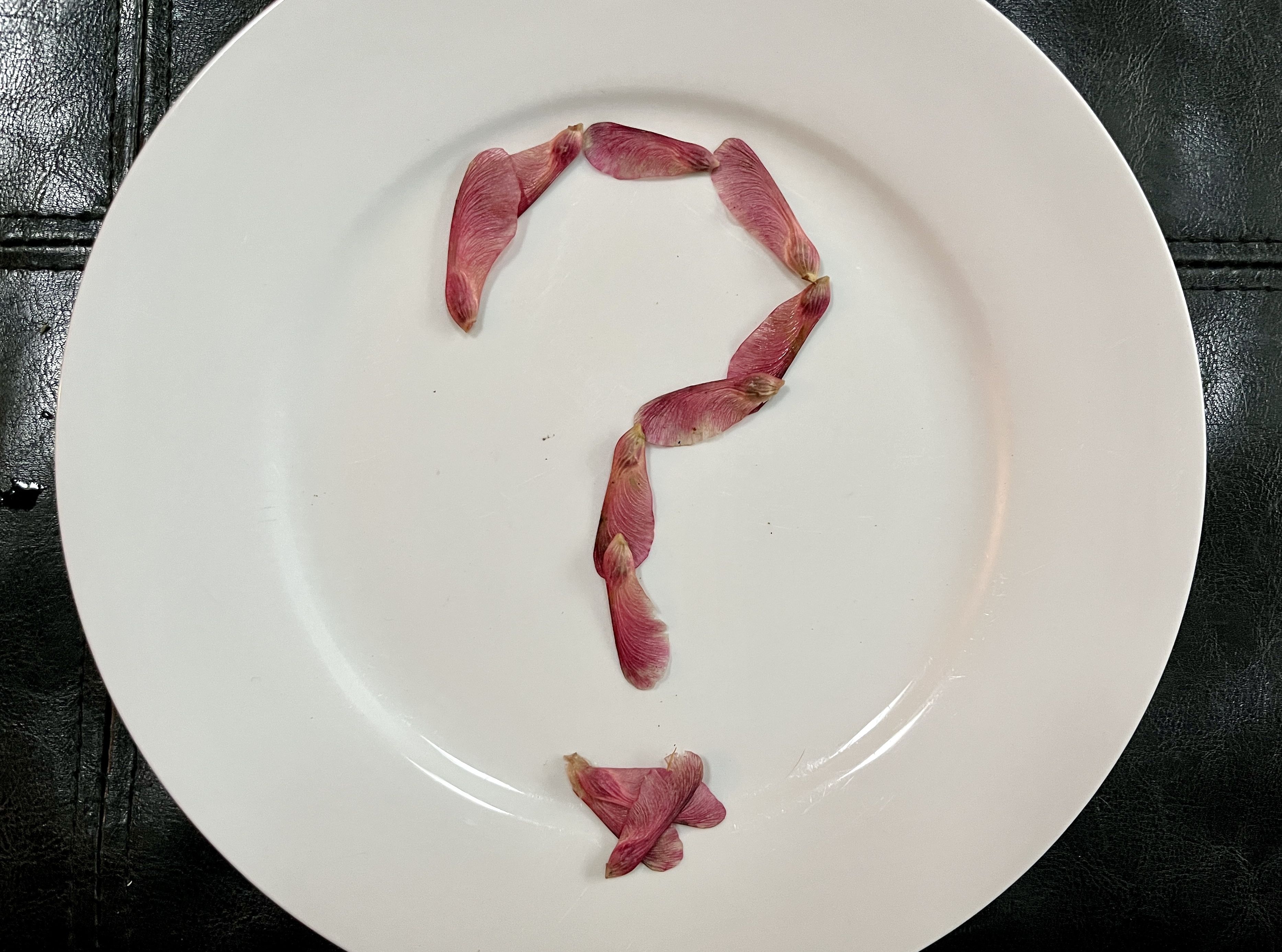 Photo of a pink helicopters on a plate