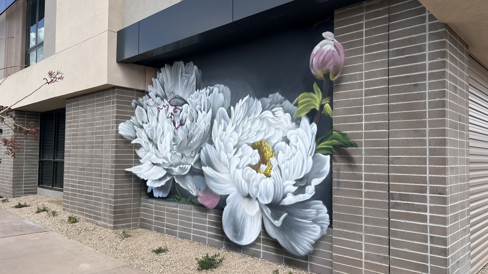 Exterior of a modern building featuring a large mural of white peonies with a pink bud on a gray brick wall beneath a dark overhang; a gravel strip and small plants line the sidewalk.