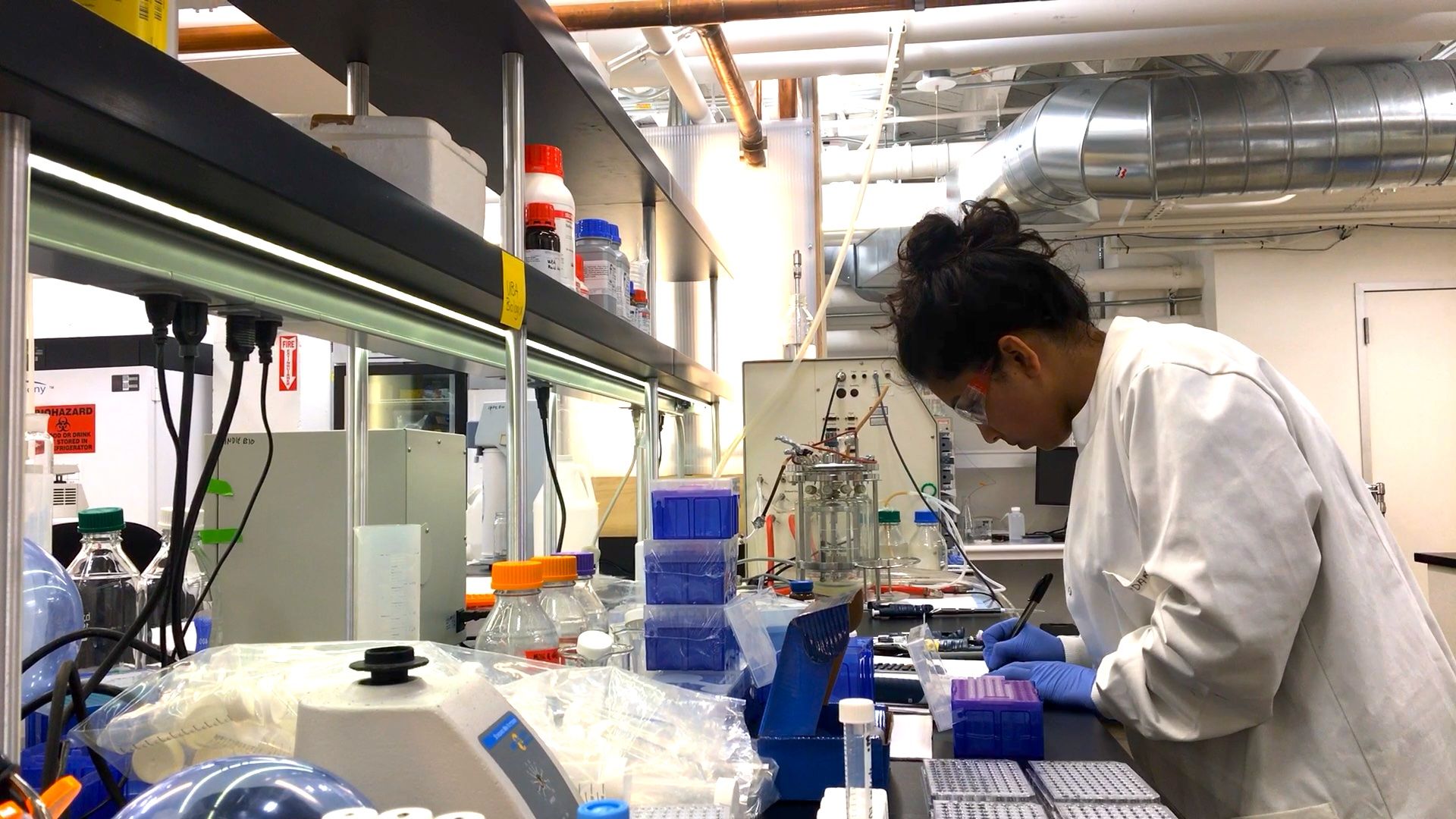 Lab space at IndieBio, part of SOSV, in San Francisco. Photo: Courtesy of SOSV.