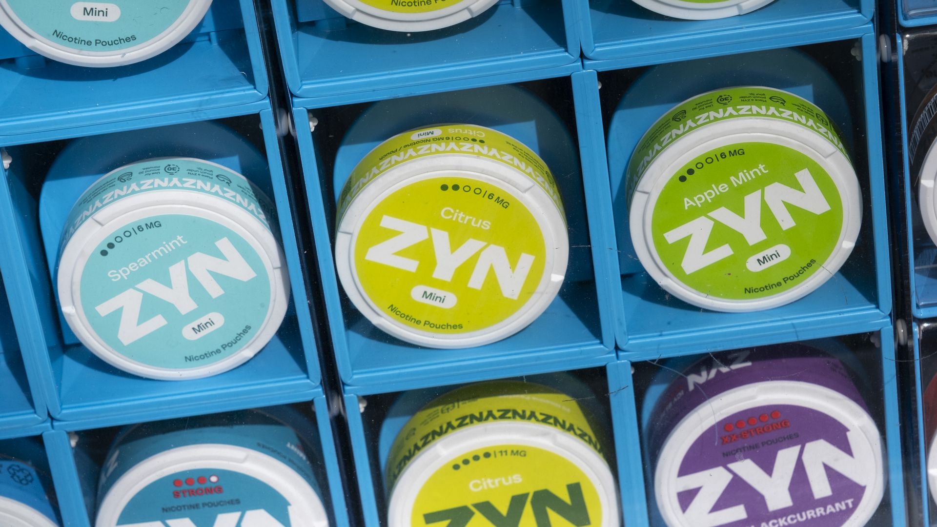 Close-up of a blue display shelf filled with round ZYN nicotine pouch tins in bright yellow, lime green, and teal, labeled flavors like Citrus and Spearmint.