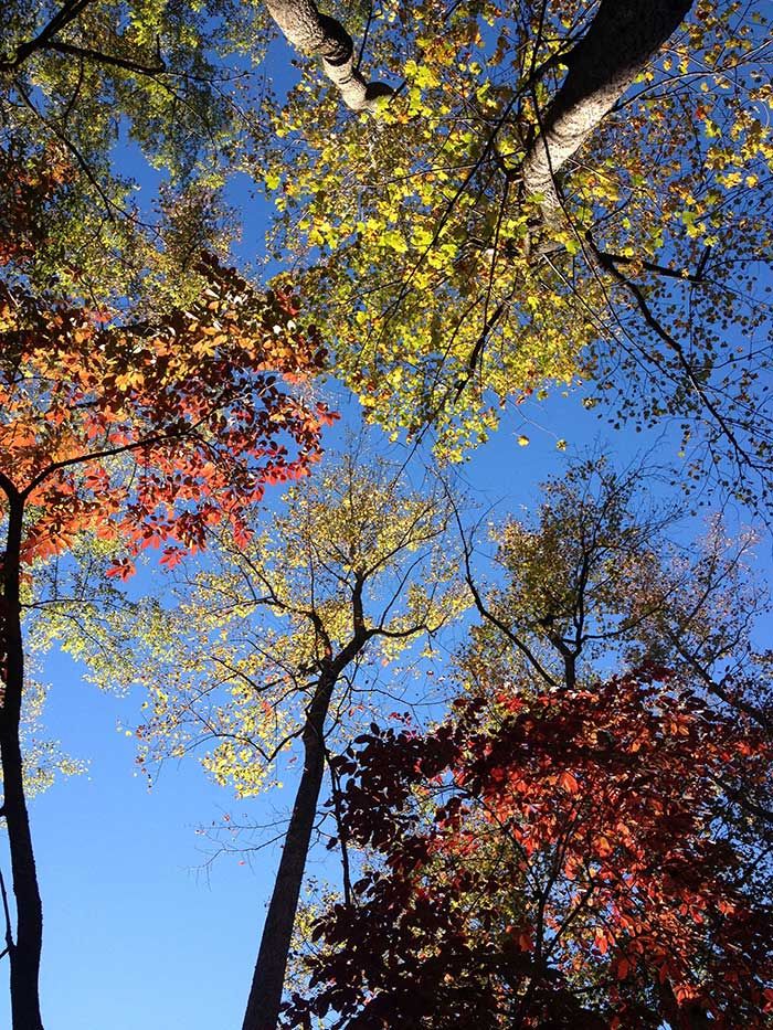 morrow-mountain-color