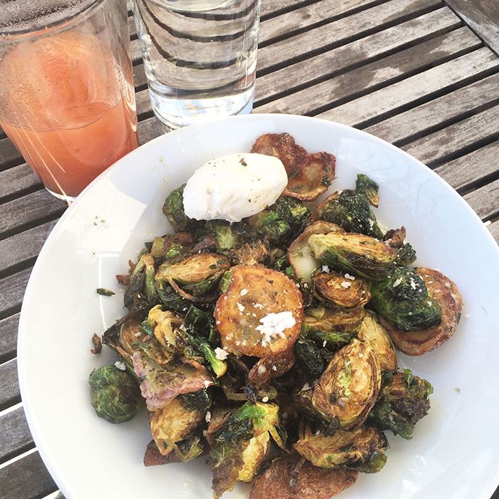 brussels-sprouts-vivace