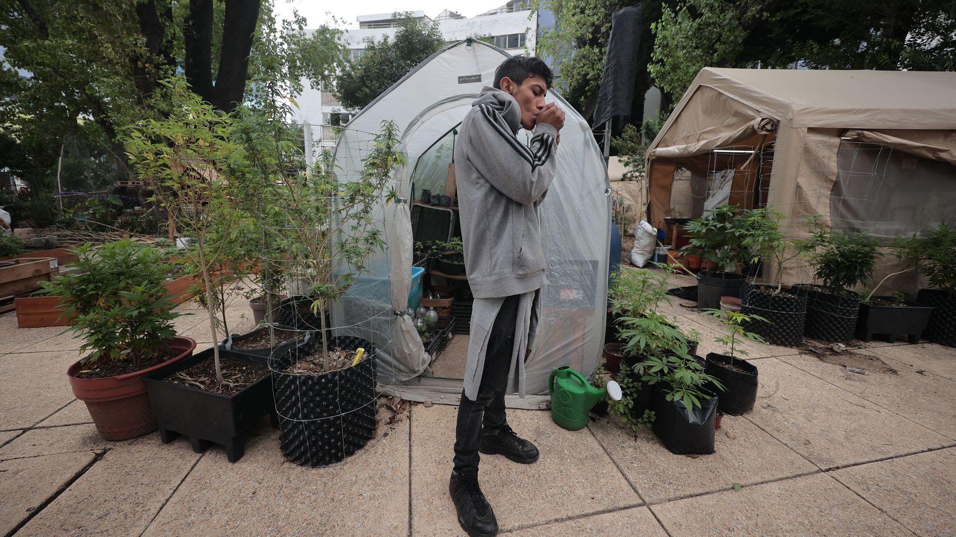 A man lights a joint next to a greenhouse