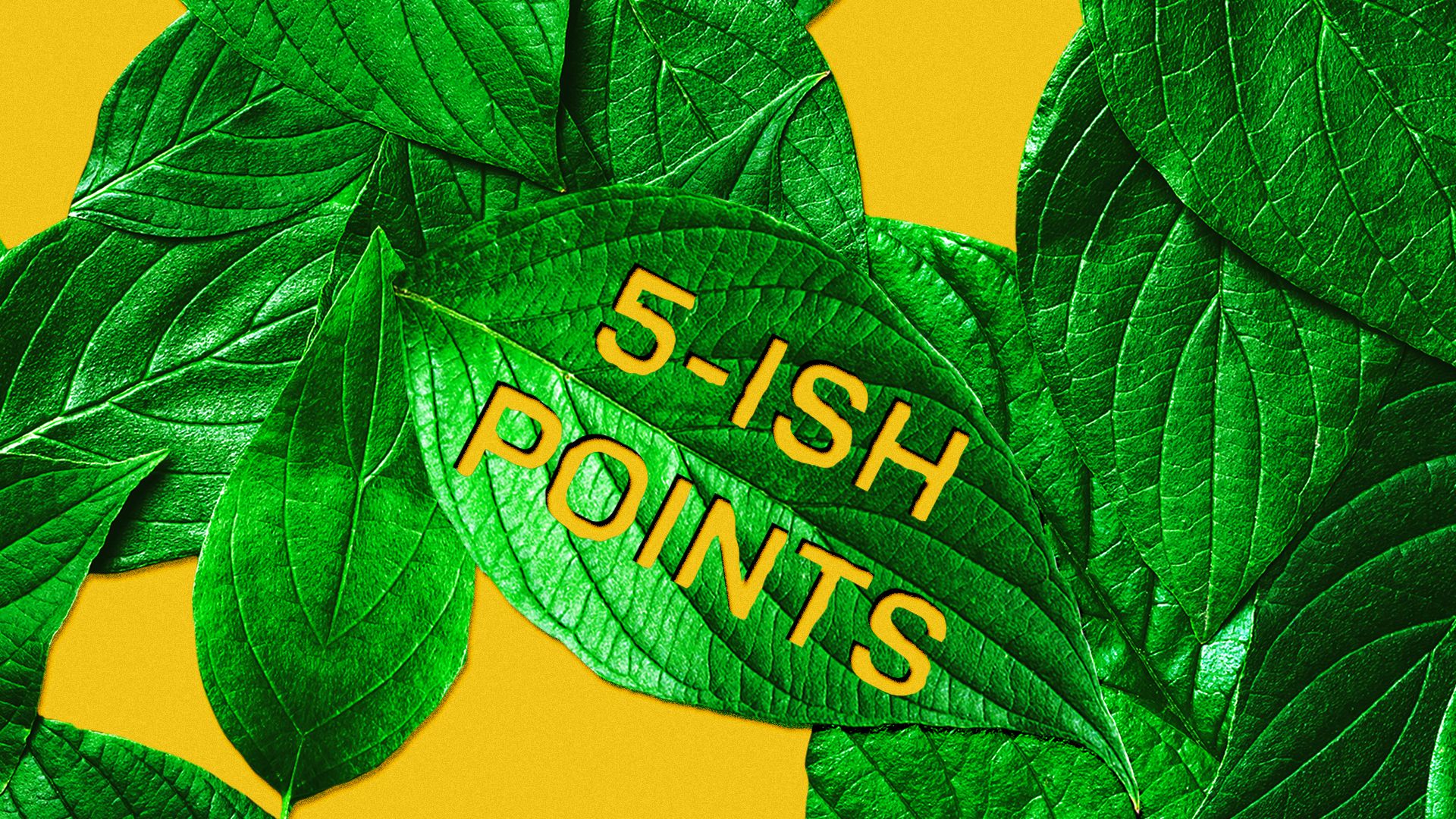 Illustration of "5-ish Points" punched into a leaf in a scattered pile of leaves.
