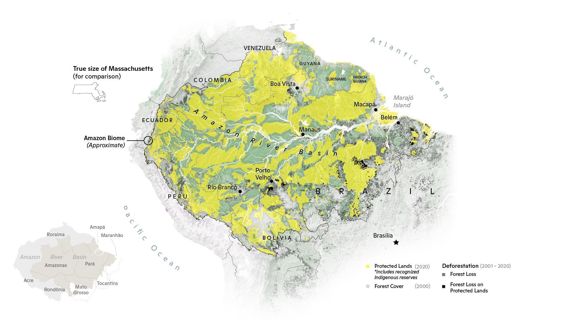 Data: Forest coverage and deforestation from Hansen, et al. 2020 version 1.8. Croplands from ESA Copernicus Land Cover 2019. Map: Carl Churchill, Woodwell Climate Research Center