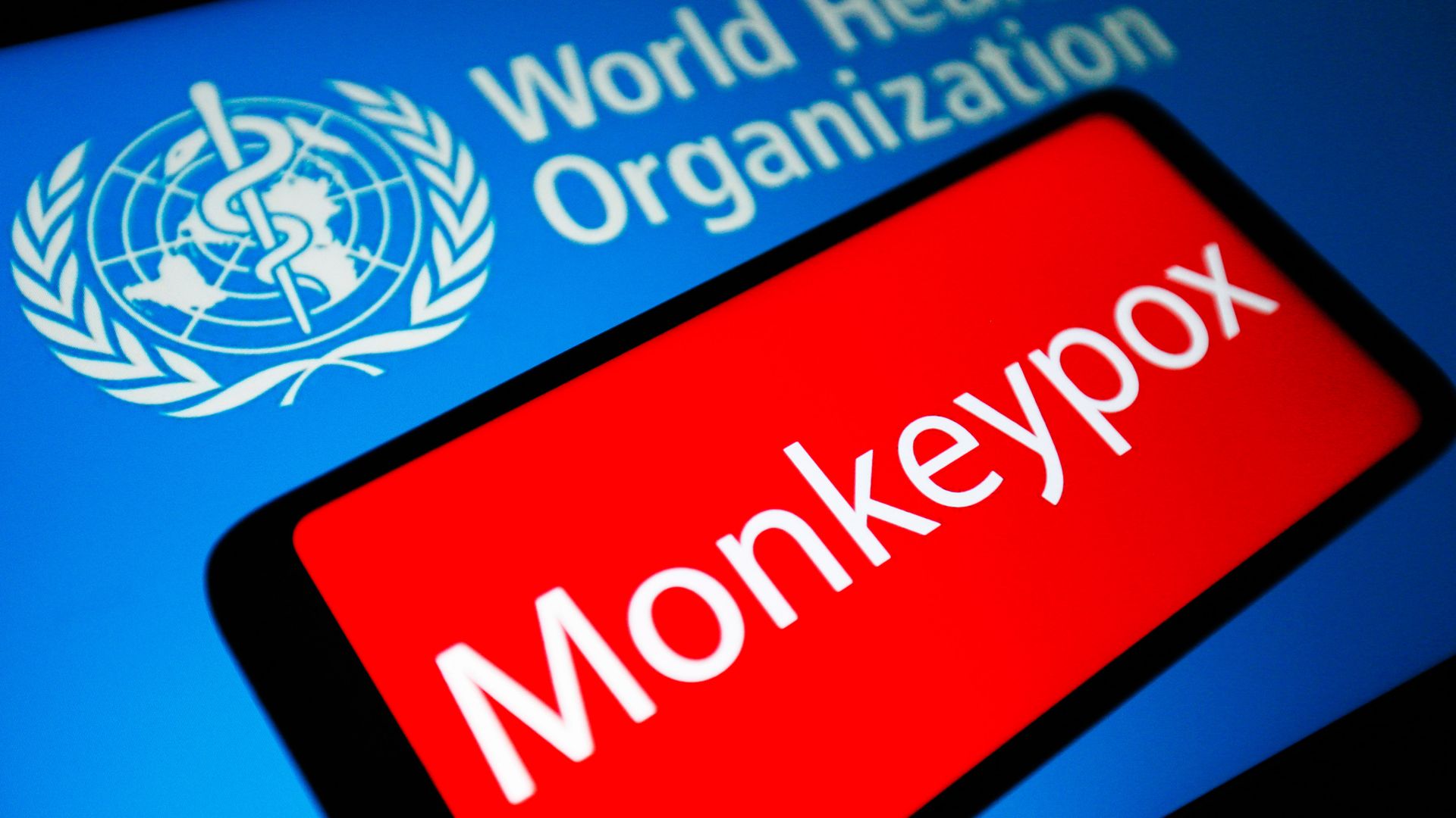 The word Monkeypox is seen on the screen of a smartphone.