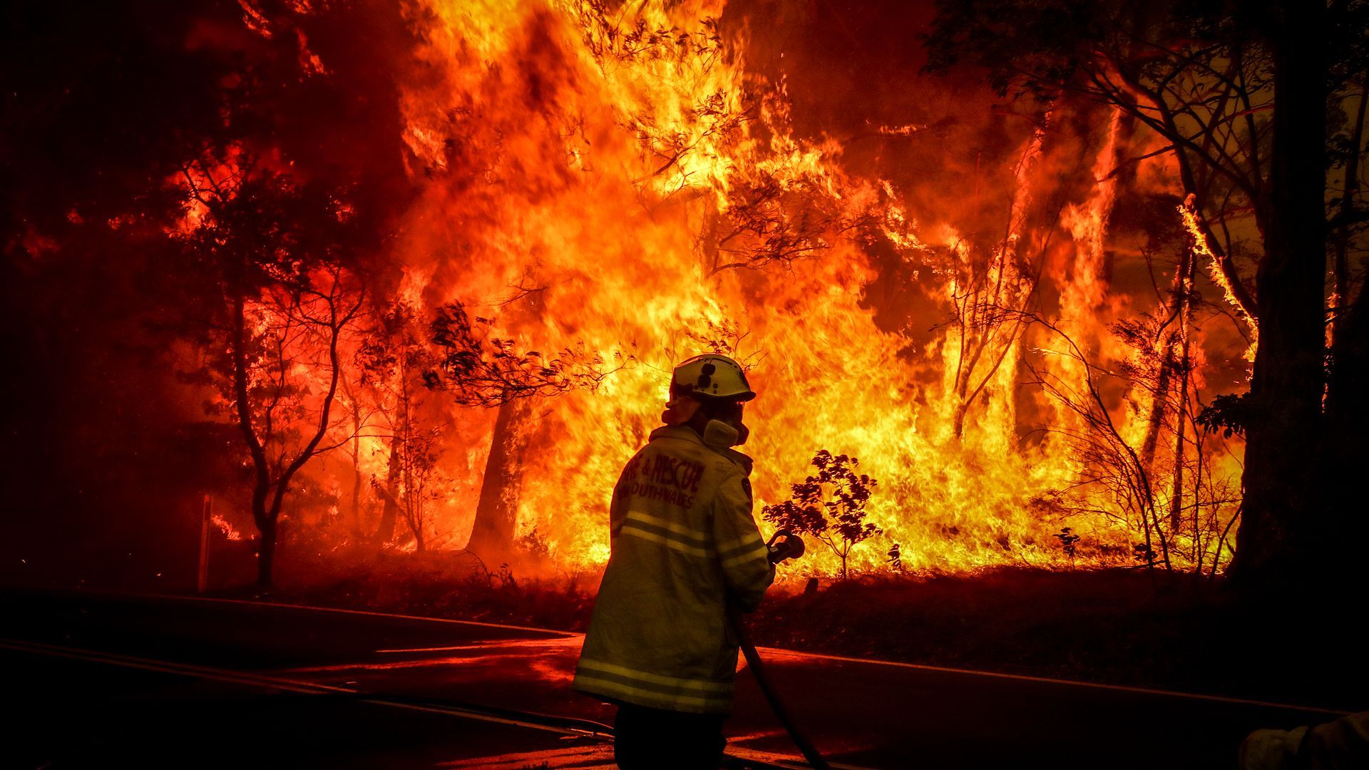 A firefighter at a wildfire aon the outskirts of the town of Bilpin  in the Blue Mountains, west of Sydney.