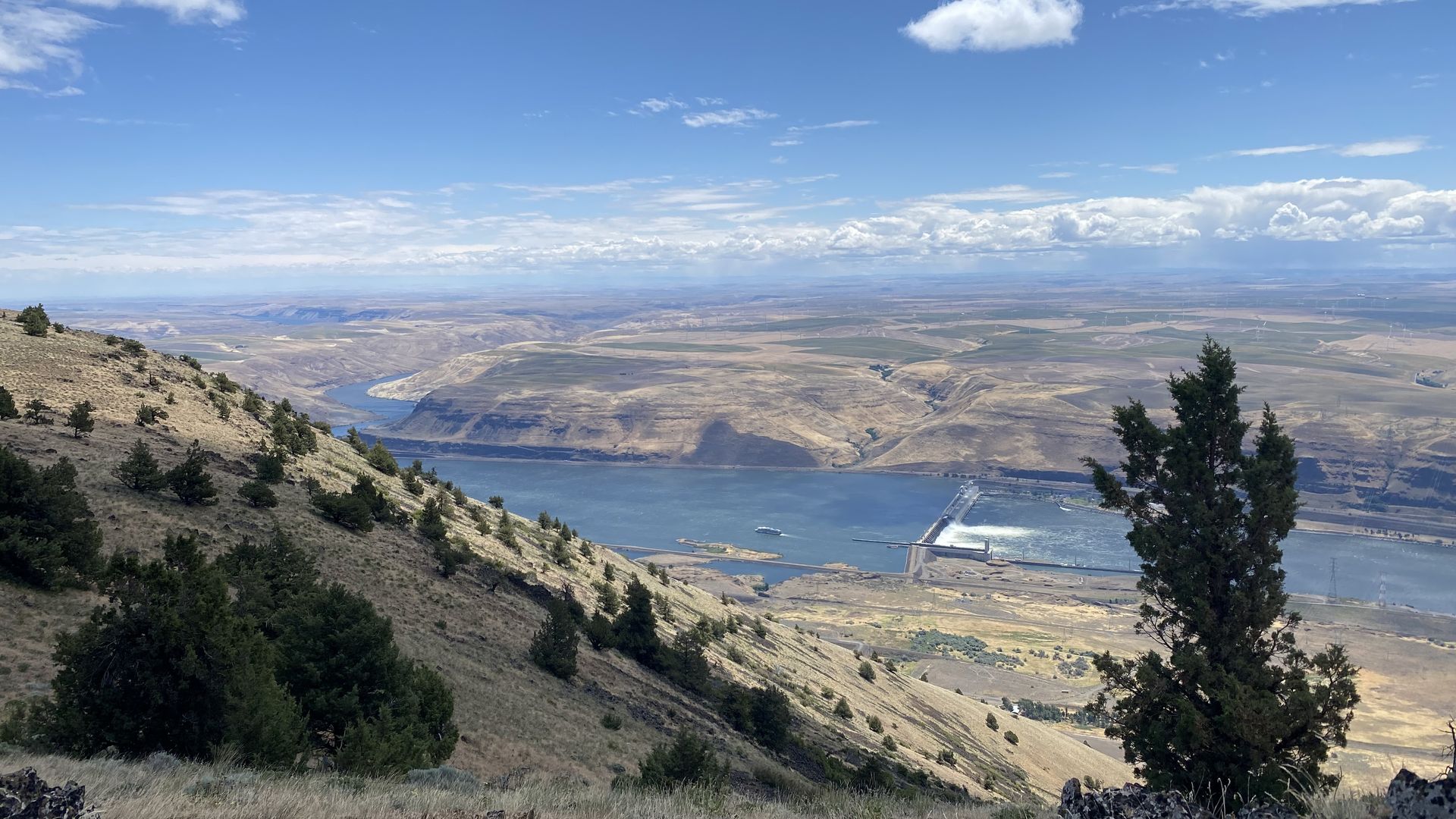 View from hillside with sparse trees looking over a river, dam, and dry rolling hills under a blue sky with scattered white clouds.