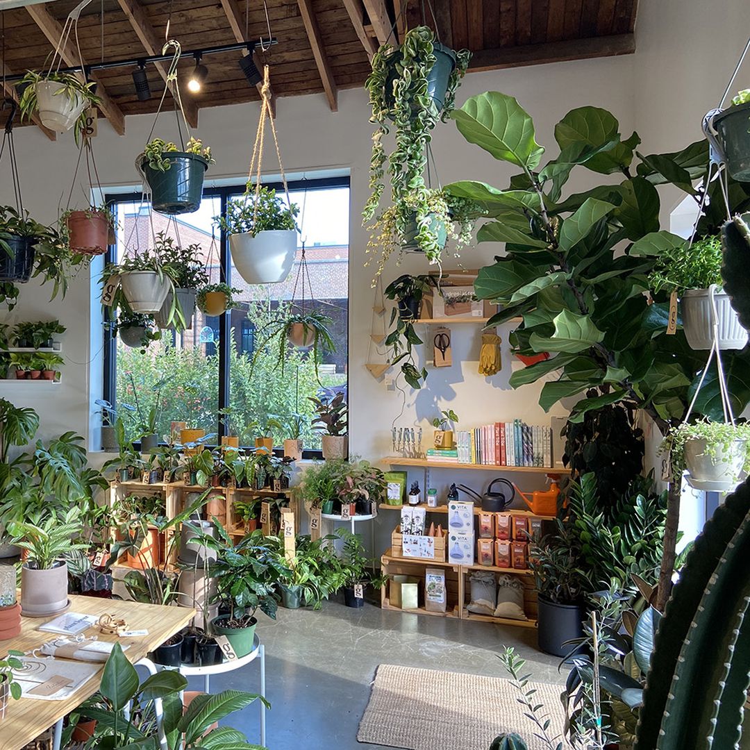 5 cool plant shops in Charlotte - Axios Charlotte