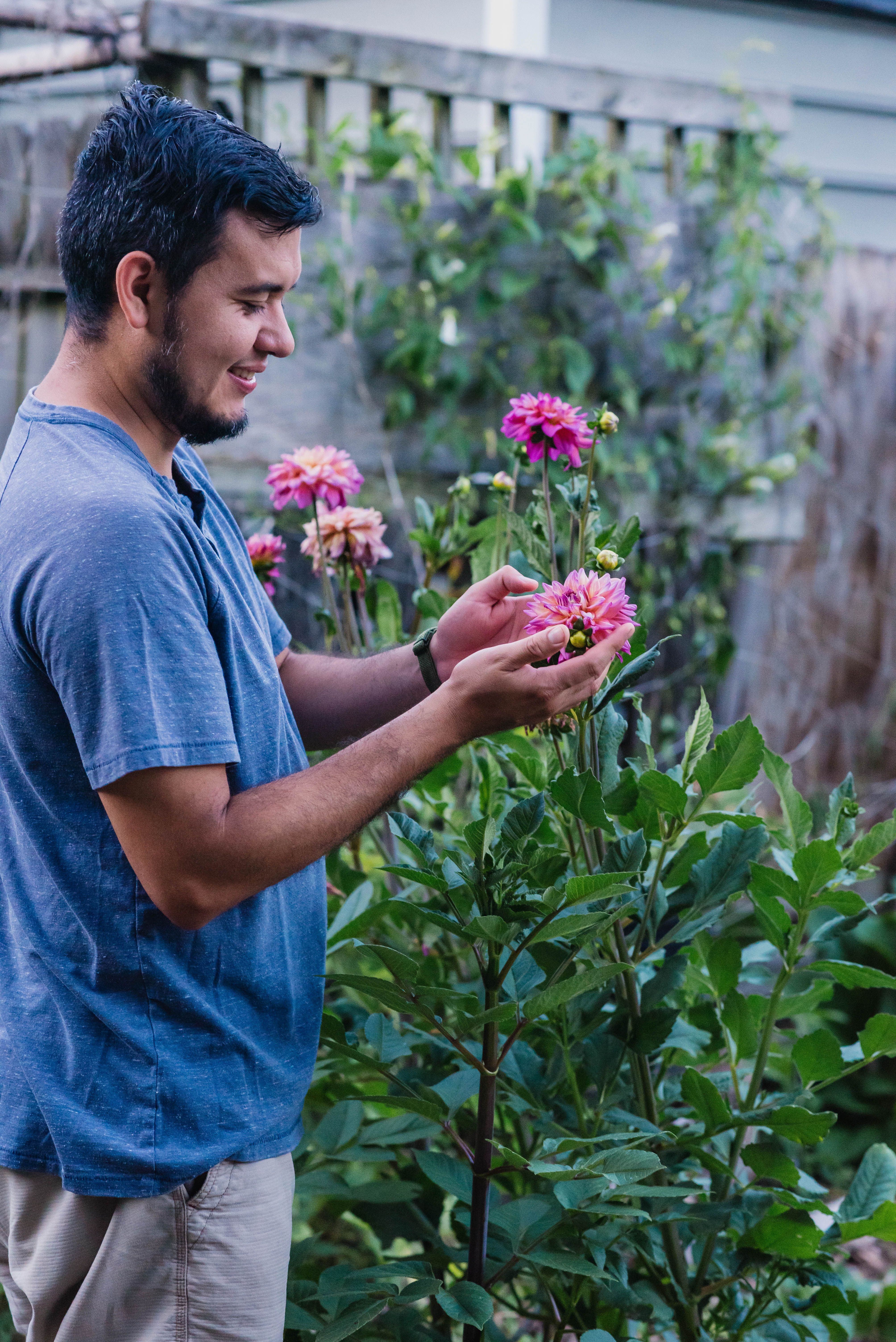 man looking at flowers in his garden