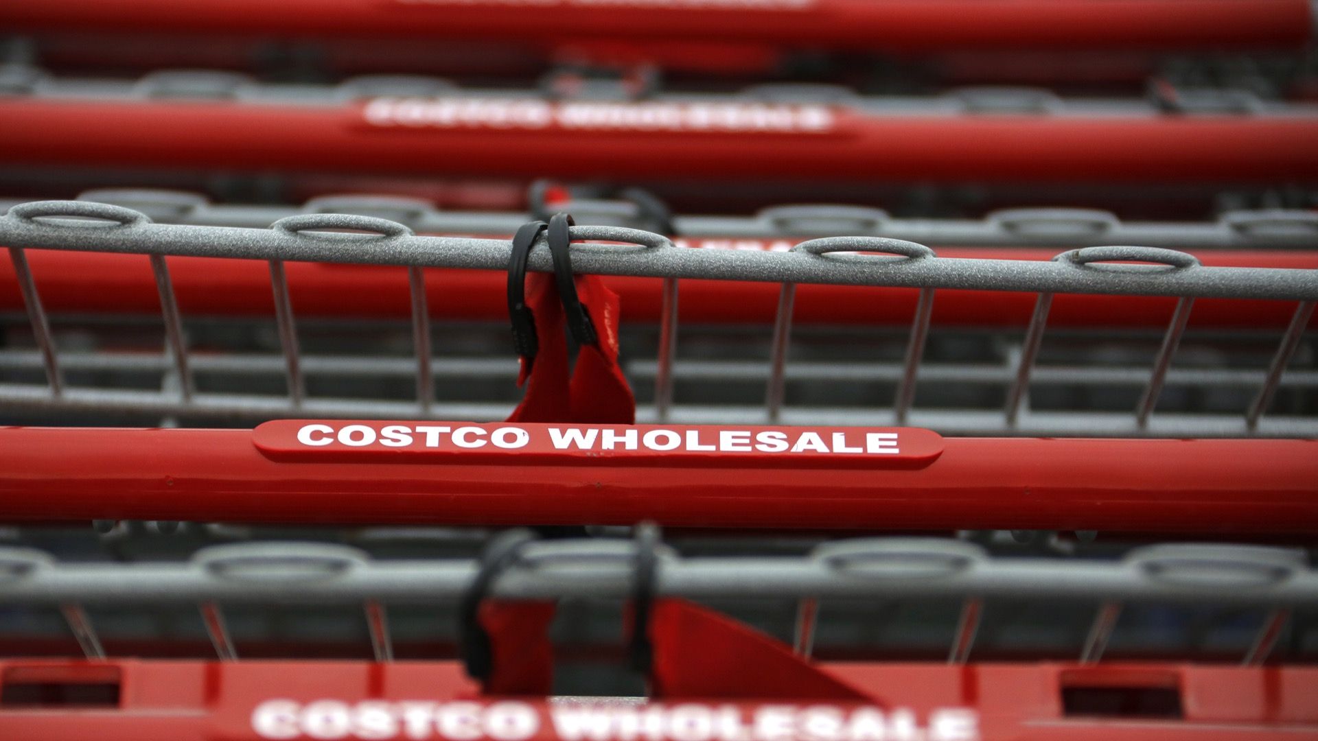 Costco shopping carts