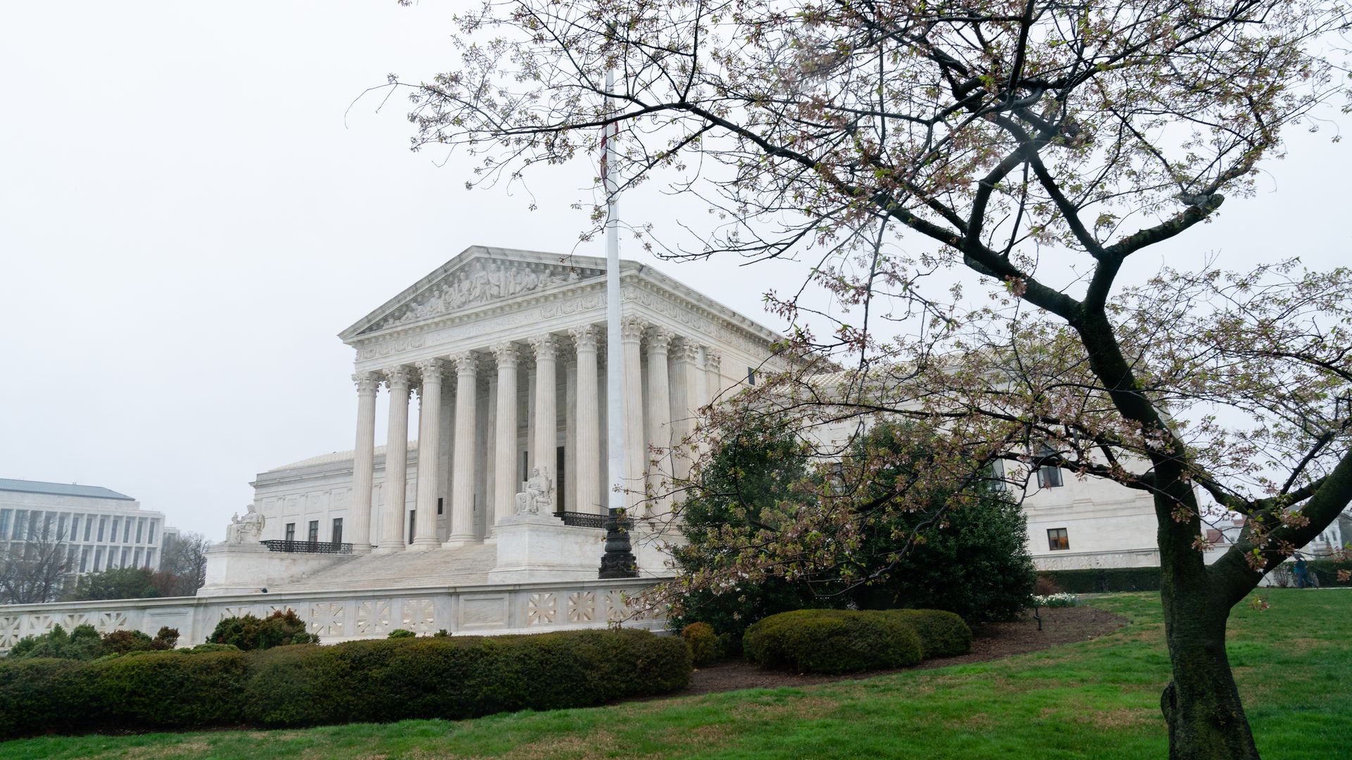 Photo of the front of the Supreme Court building with a pink cherry bloom tree in the foreground