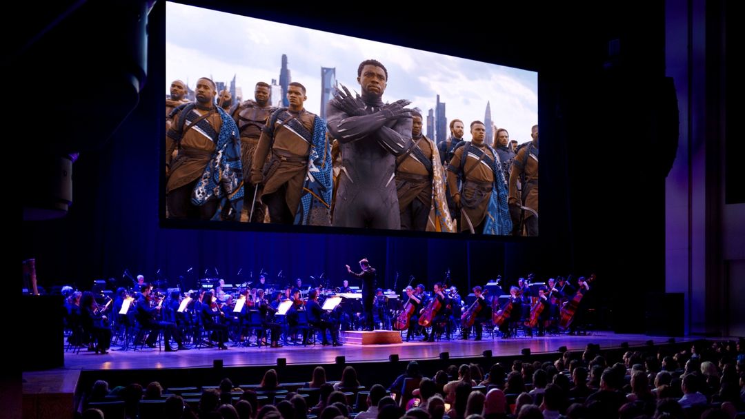 Black Panther in Concert