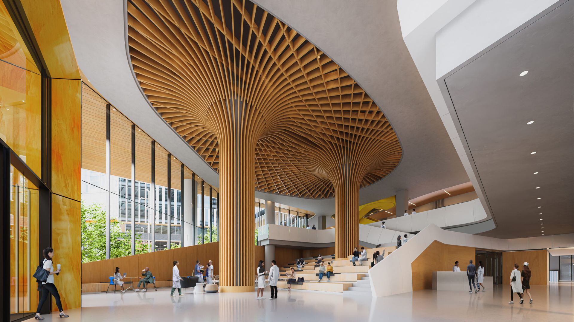 Wake Forest University School of Medicine Charlotte