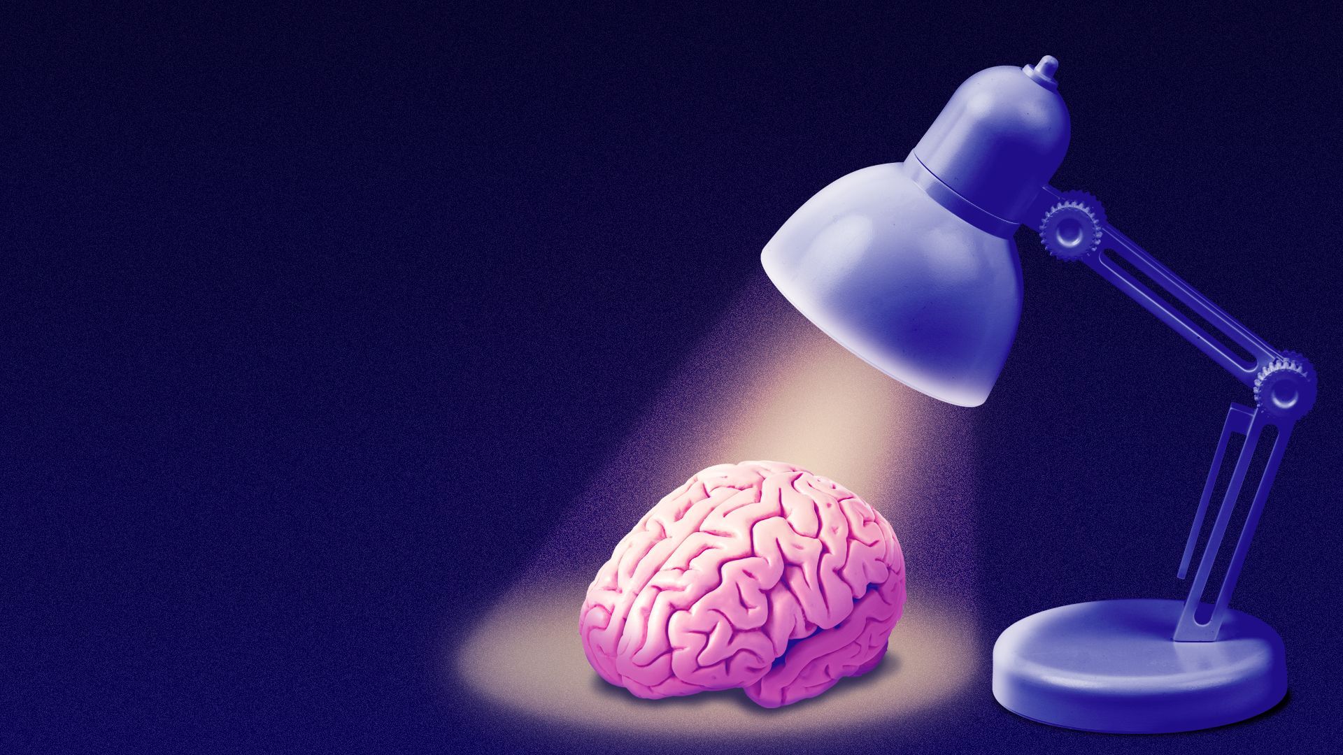 Illustration of a desk lamp shining down upon a human brain