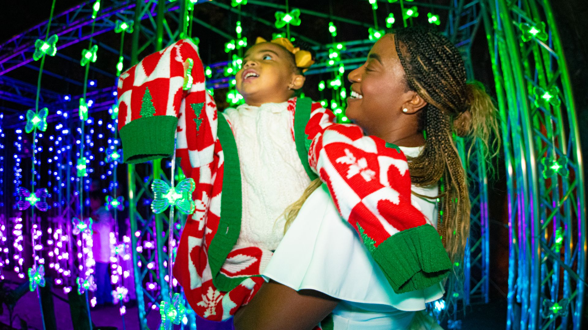 A woman hoists up a boy, both smiling, to see twinkling lights at Houston Zoo Lights