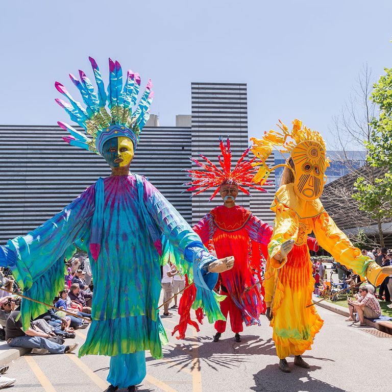 The World's Best Festivals: Venice Art, Calle Ocho, Boi Bumba & Rainbo(中古品) 1684937454825.jpg