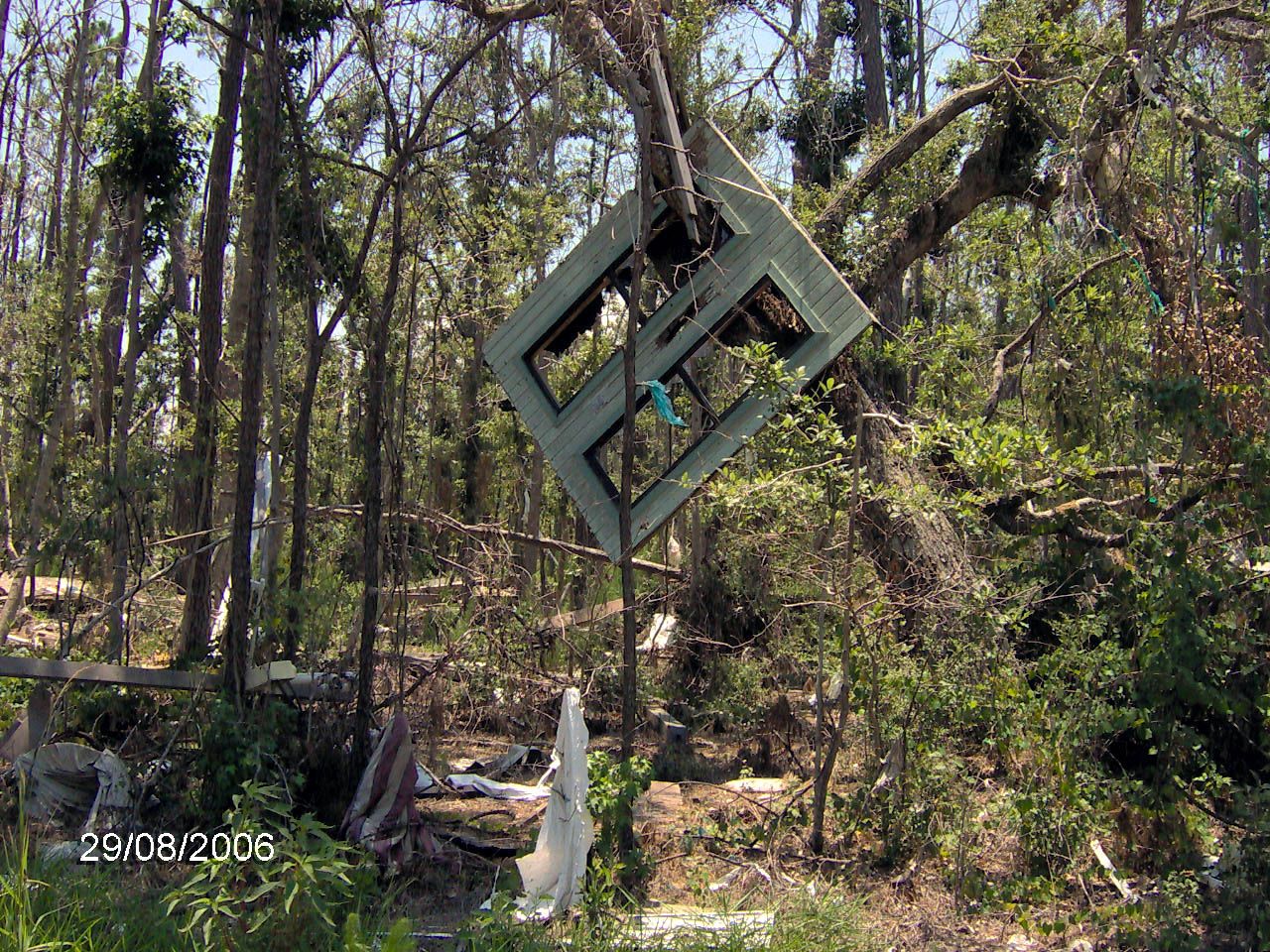 Green wooden door frame hanging diagonally from a tree in a forested area with debris and broken branches scattered on the ground, photo dated 29/08/2006.