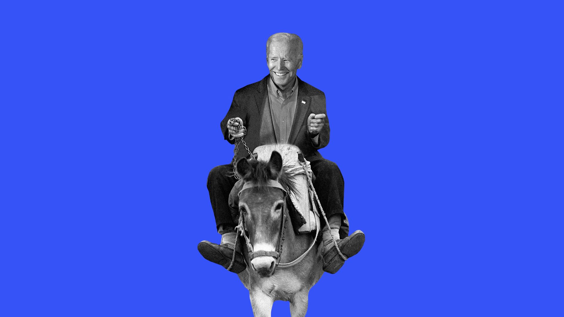 Illustration of Biden riding a donkey