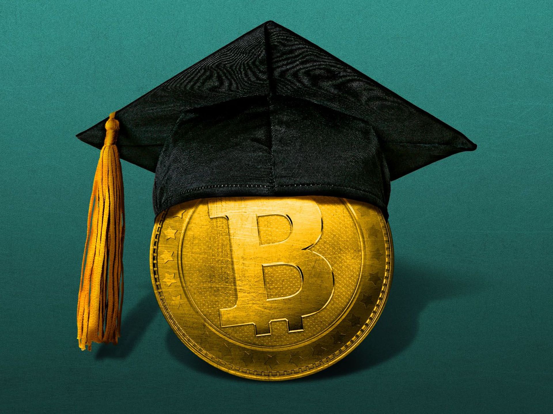 The Bitcoin Class of 2024