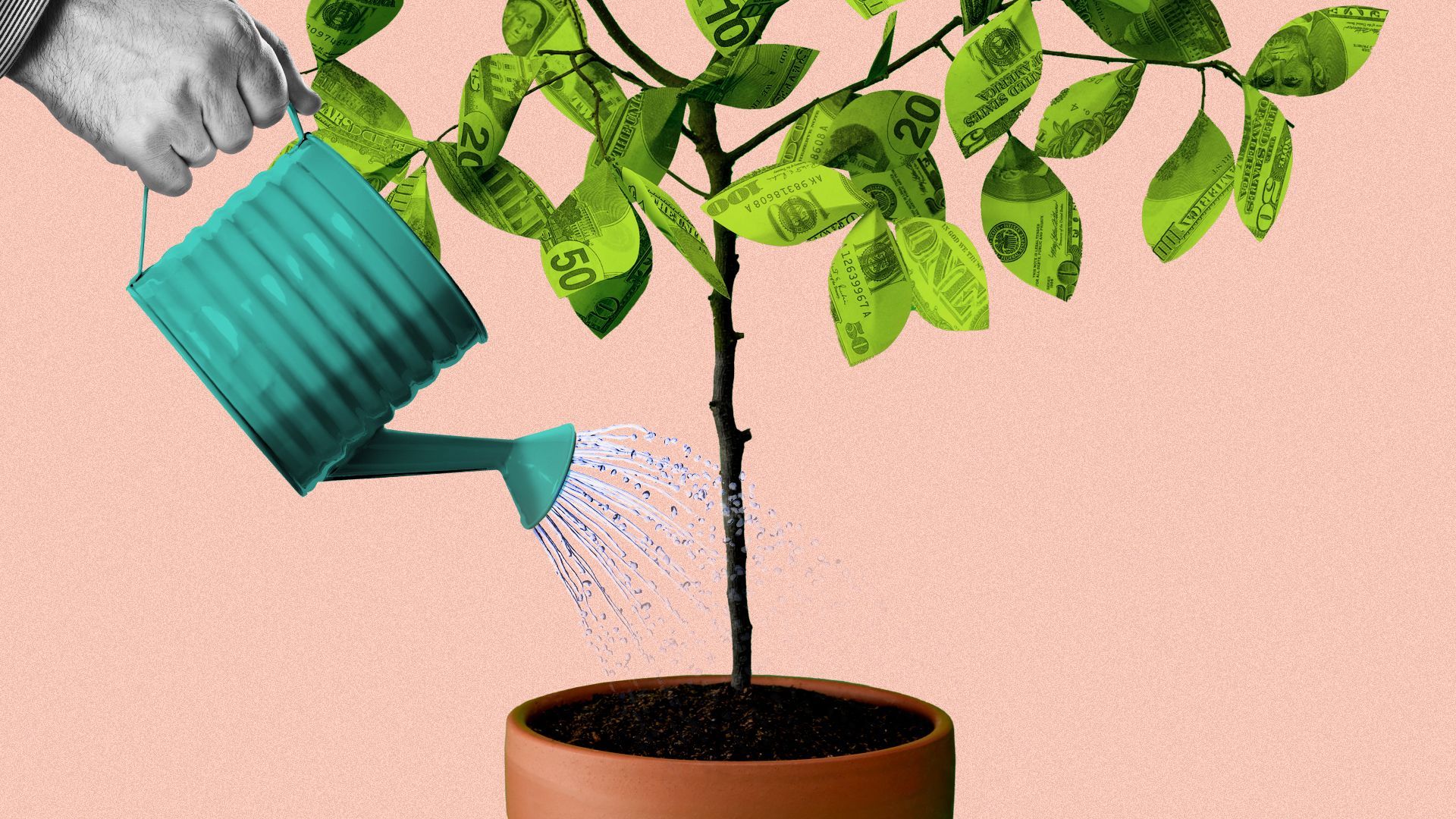 Illustration of a hand watering a tree in a pot with money for leaves