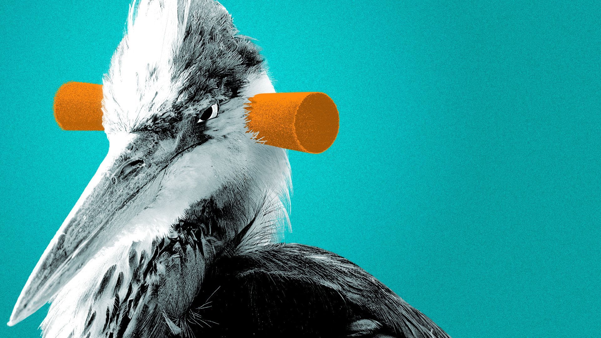 Illustration of an angry Great Blue Heron wearing ear plugs.