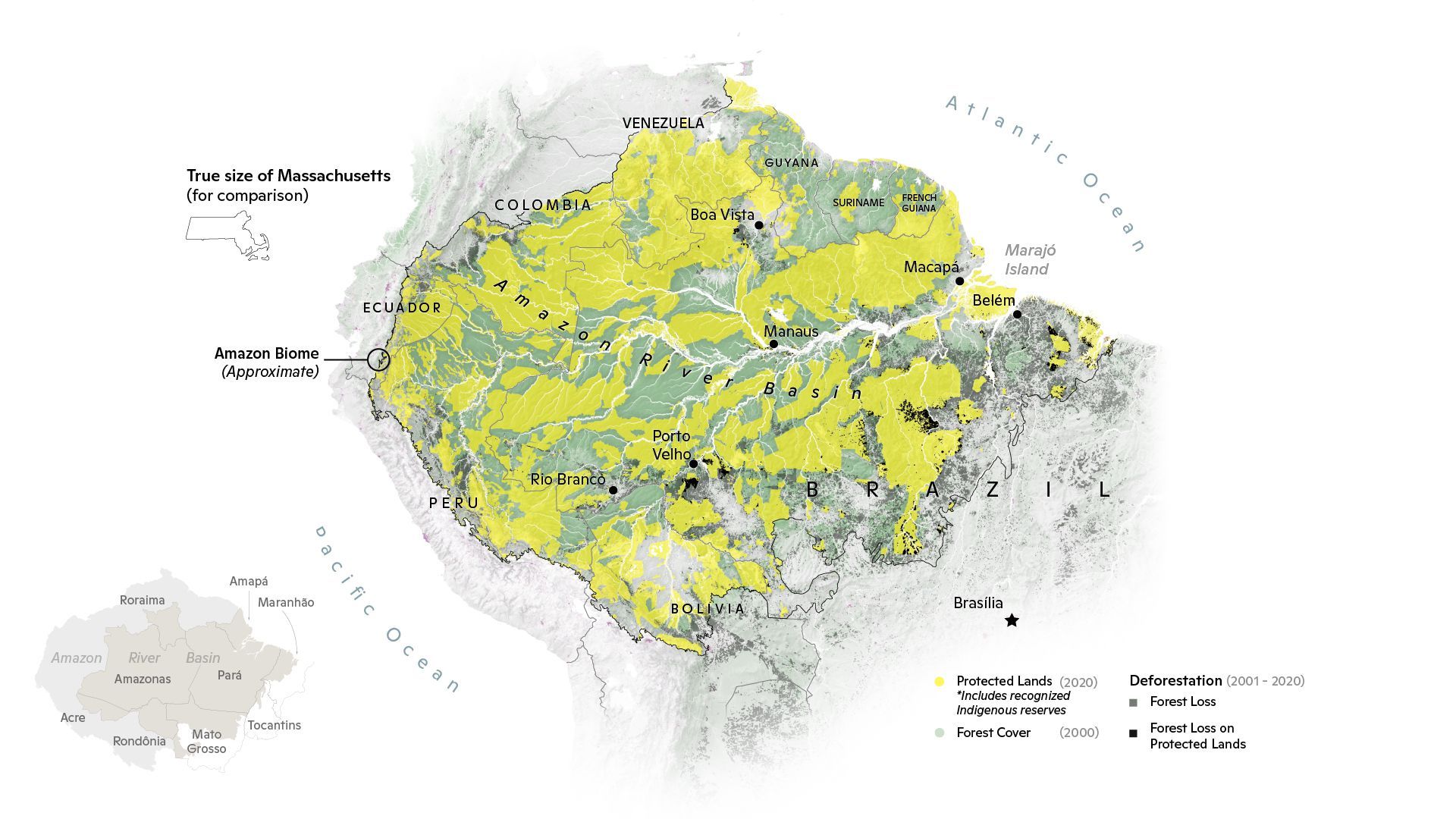 Picture of a map shoring forest coverage in South America